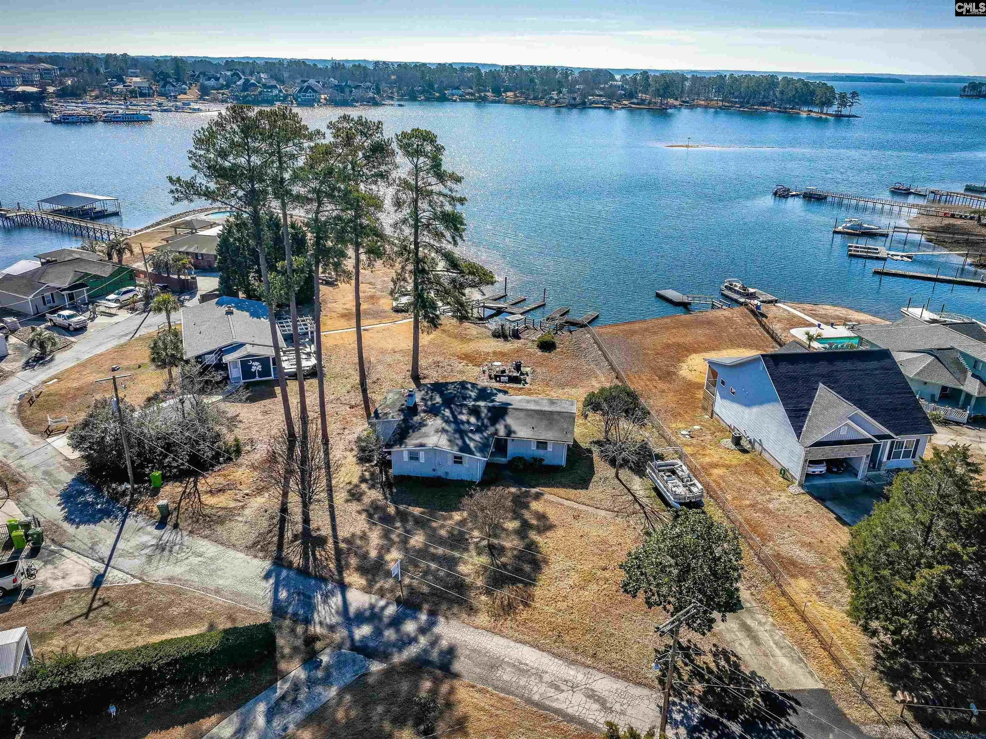Property image 3 at 133 Williams Way, Chapin, SC 29036