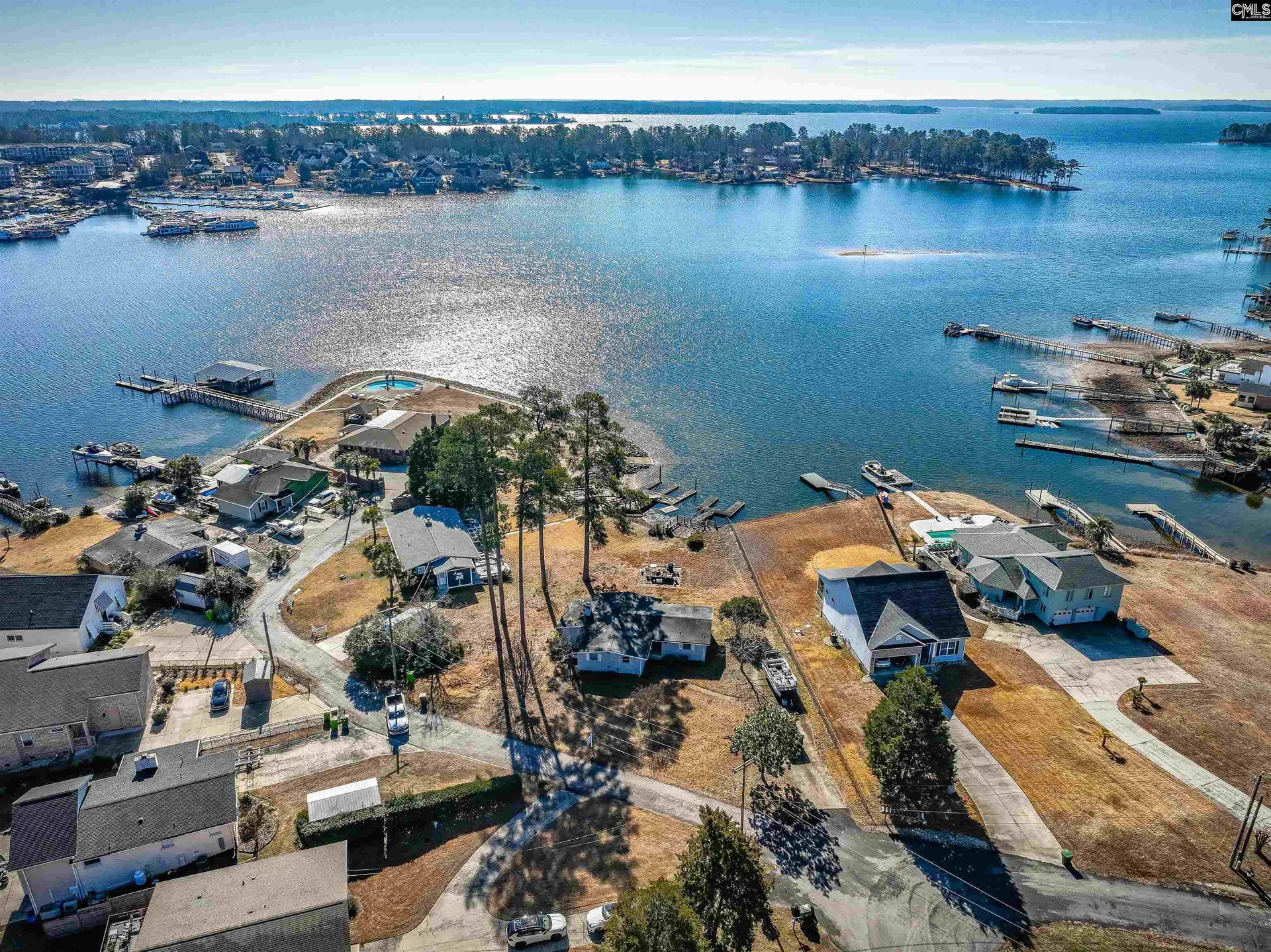 Property image 4 at 133 Williams Way, Chapin, SC 29036