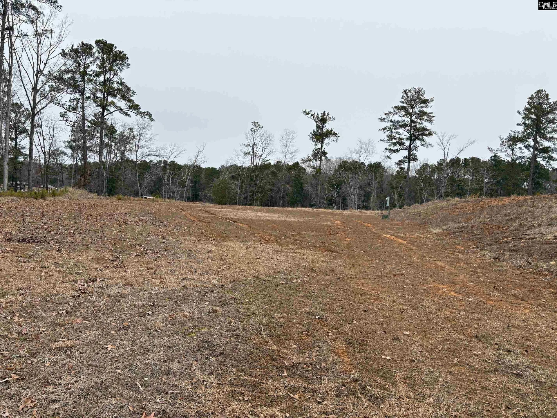 Property image 2 at 955 Retreat Way, Ridgeway, SC 29130