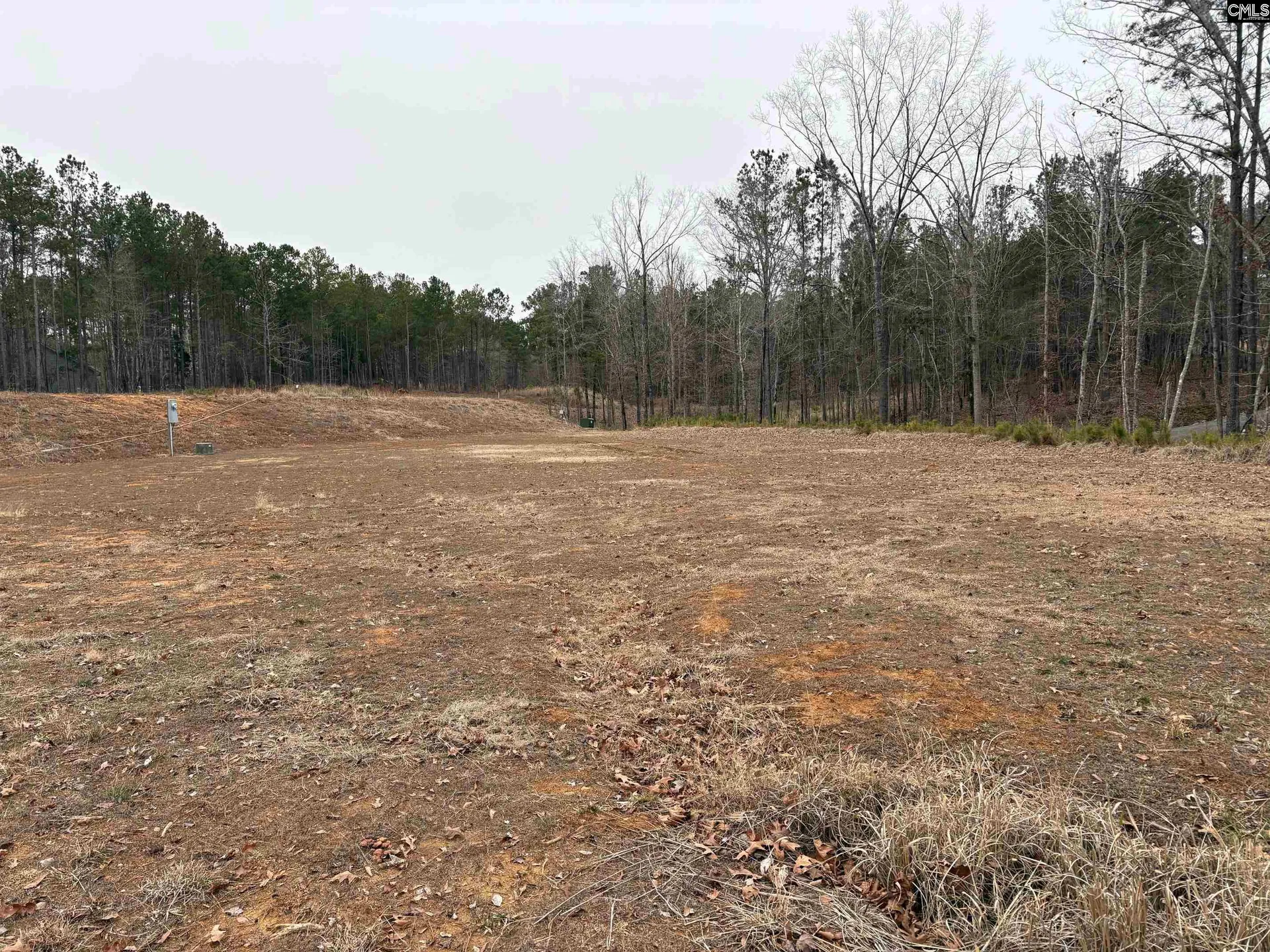 Property image 3 at 955 Retreat Way, Ridgeway, SC 29130