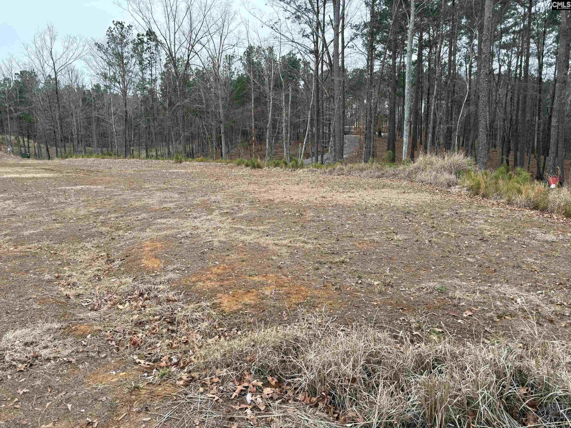 Property image 4 at 955 Retreat Way, Ridgeway, SC 29130