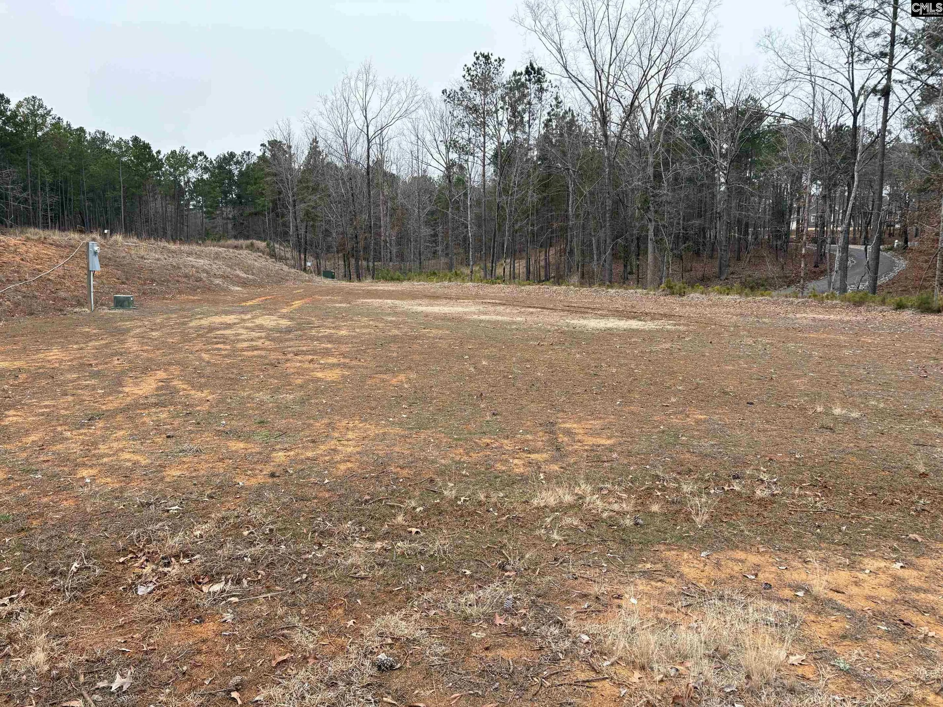 Property image 5 at 955 Retreat Way, Ridgeway, SC 29130