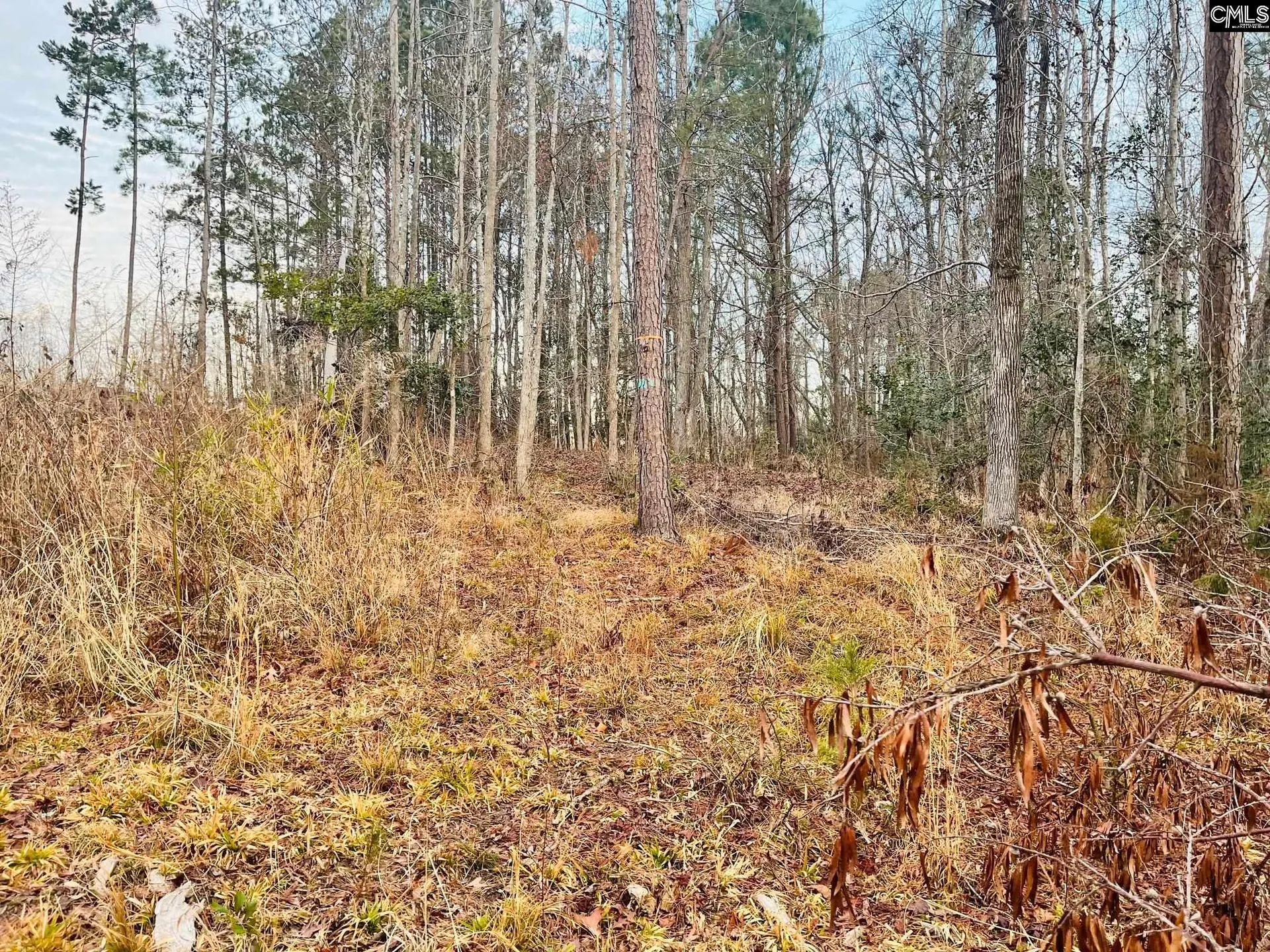 Property image 4 at 0 Osprey Pointe Lane, Prosperity, SC 29127-0000