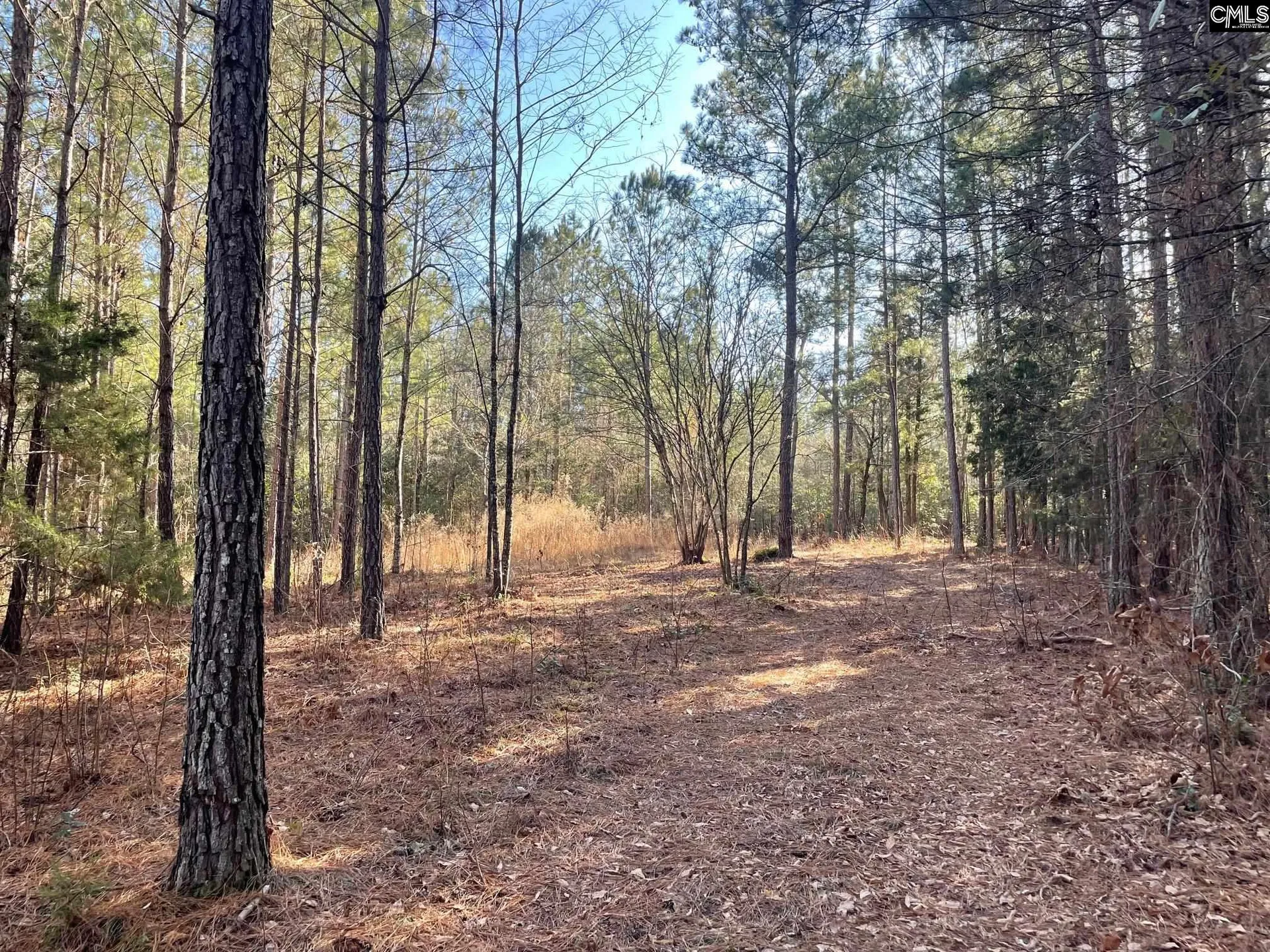 Property image 2 at Lot 2 Houston Road, Prosperity, SC 29126