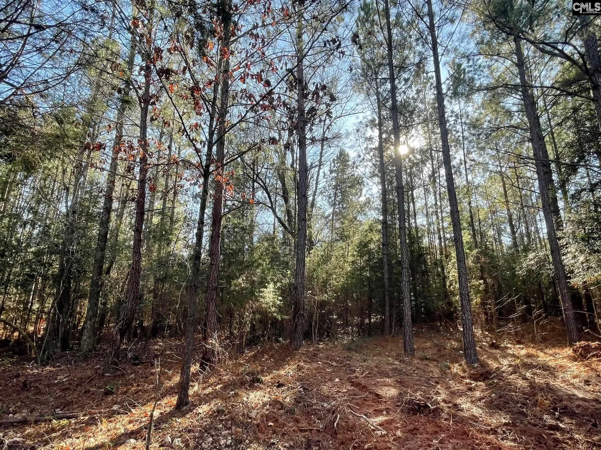 Property image 3 at Lot 2 Houston Road, Prosperity, SC 29126