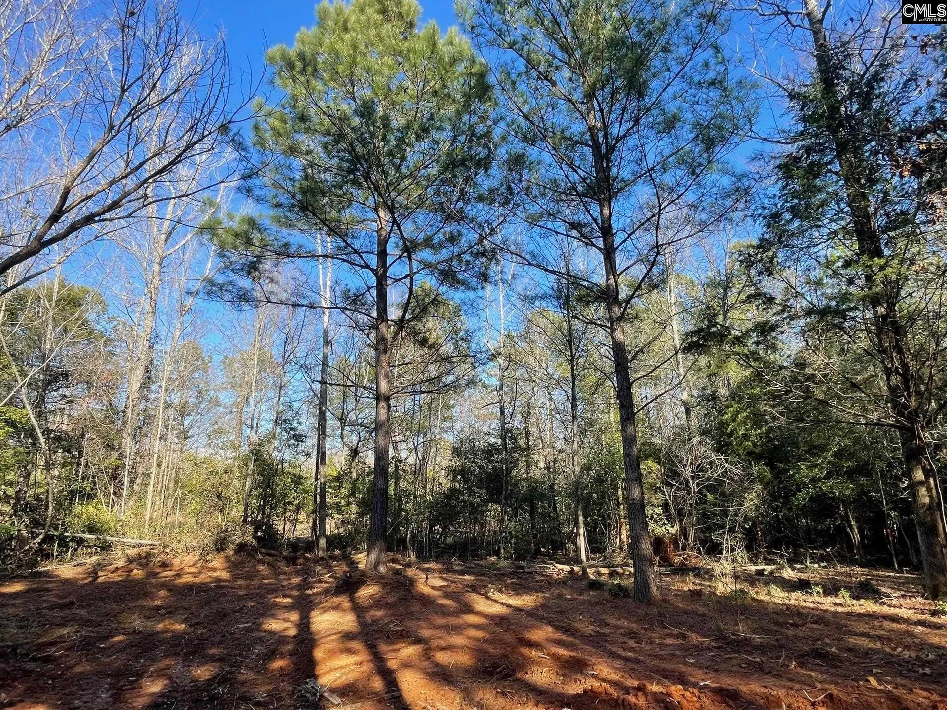 Property image 4 at Lot 2 Houston Road, Prosperity, SC 29126