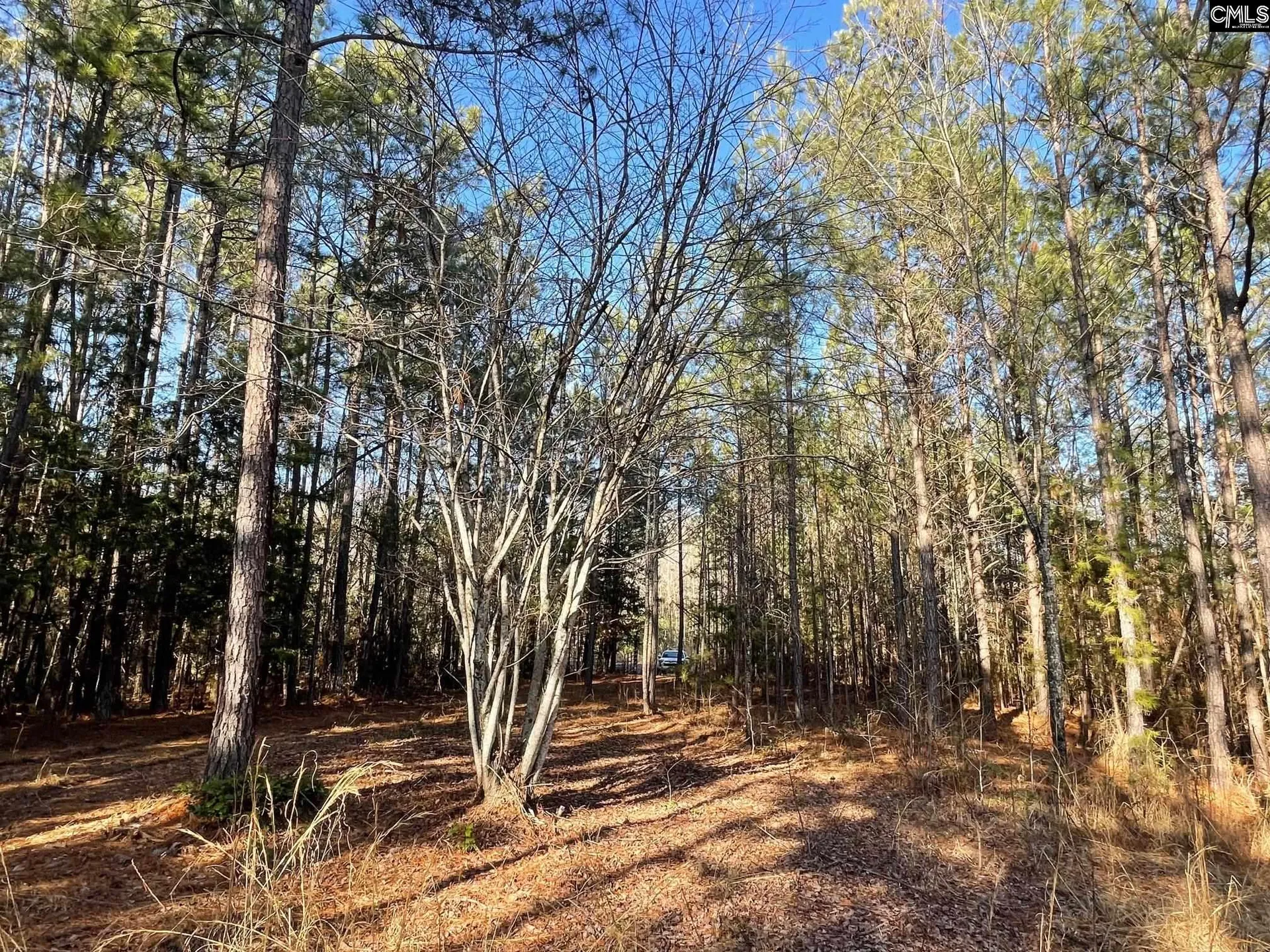 Property image 5 at Lot 2 Houston Road, Prosperity, SC 29126