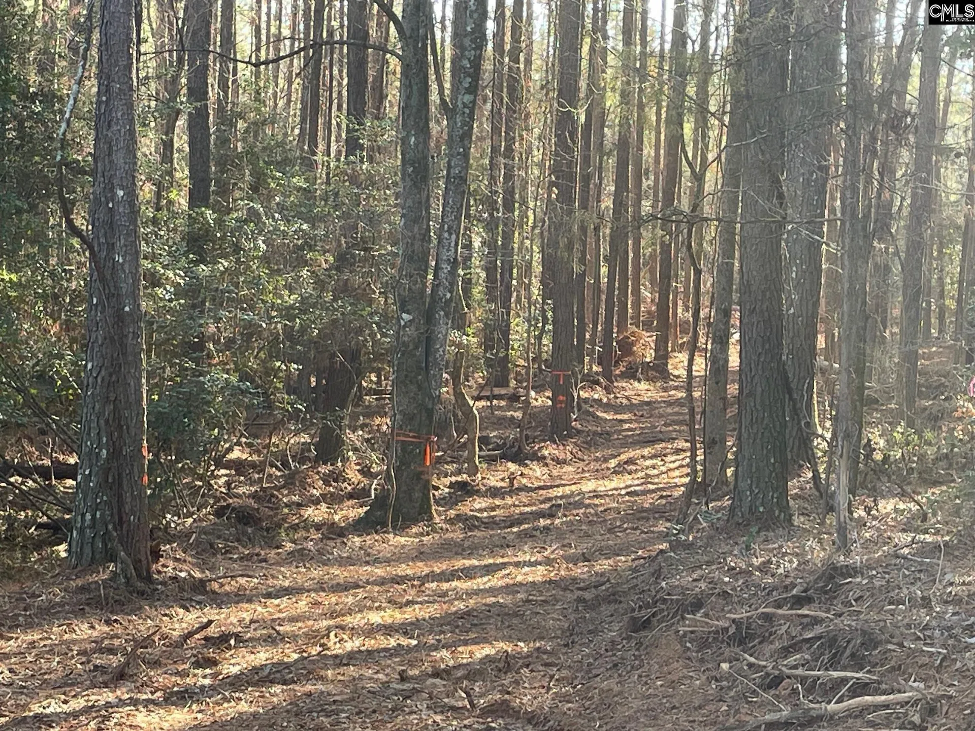 Property image 2 at Lot 4 Houston Road, Prosperity, SC 29127