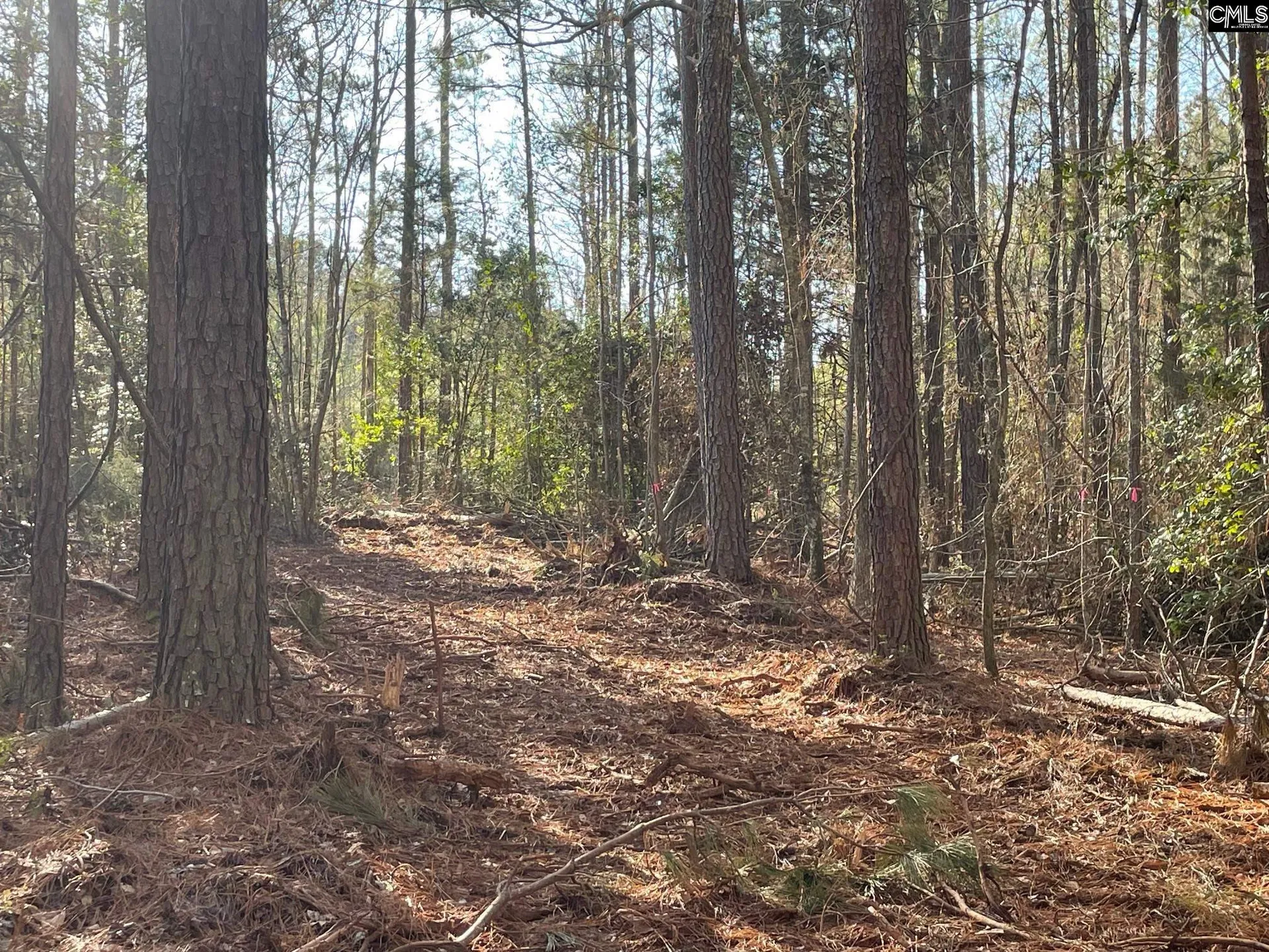 Property image 4 at Lot 4 Houston Road, Prosperity, SC 29127