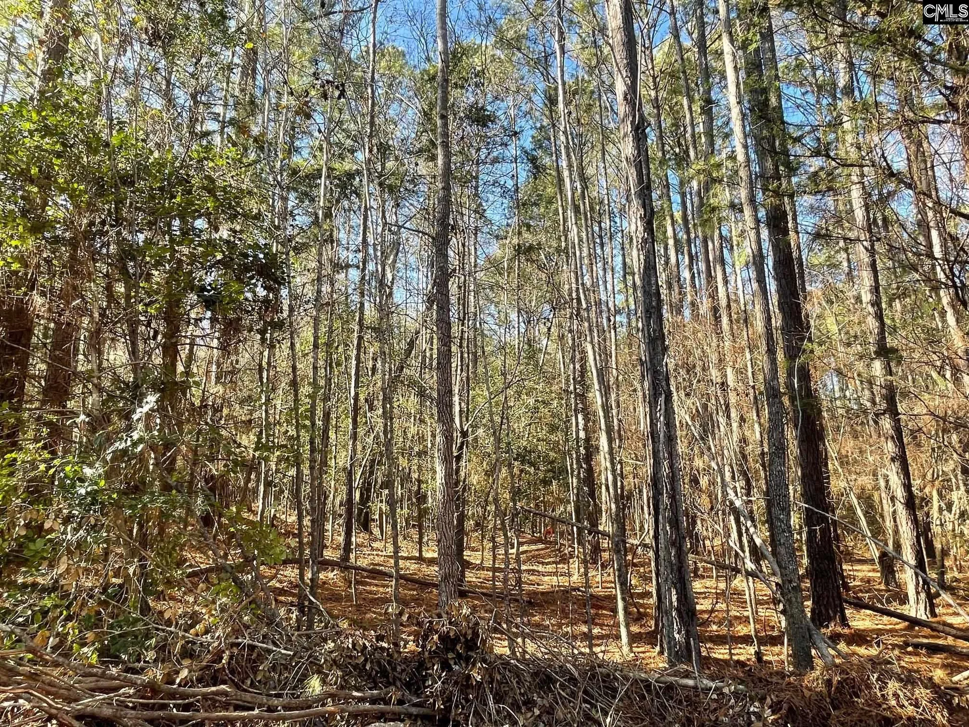 Property image 5 at Lot 4 Houston Road, Prosperity, SC 29127
