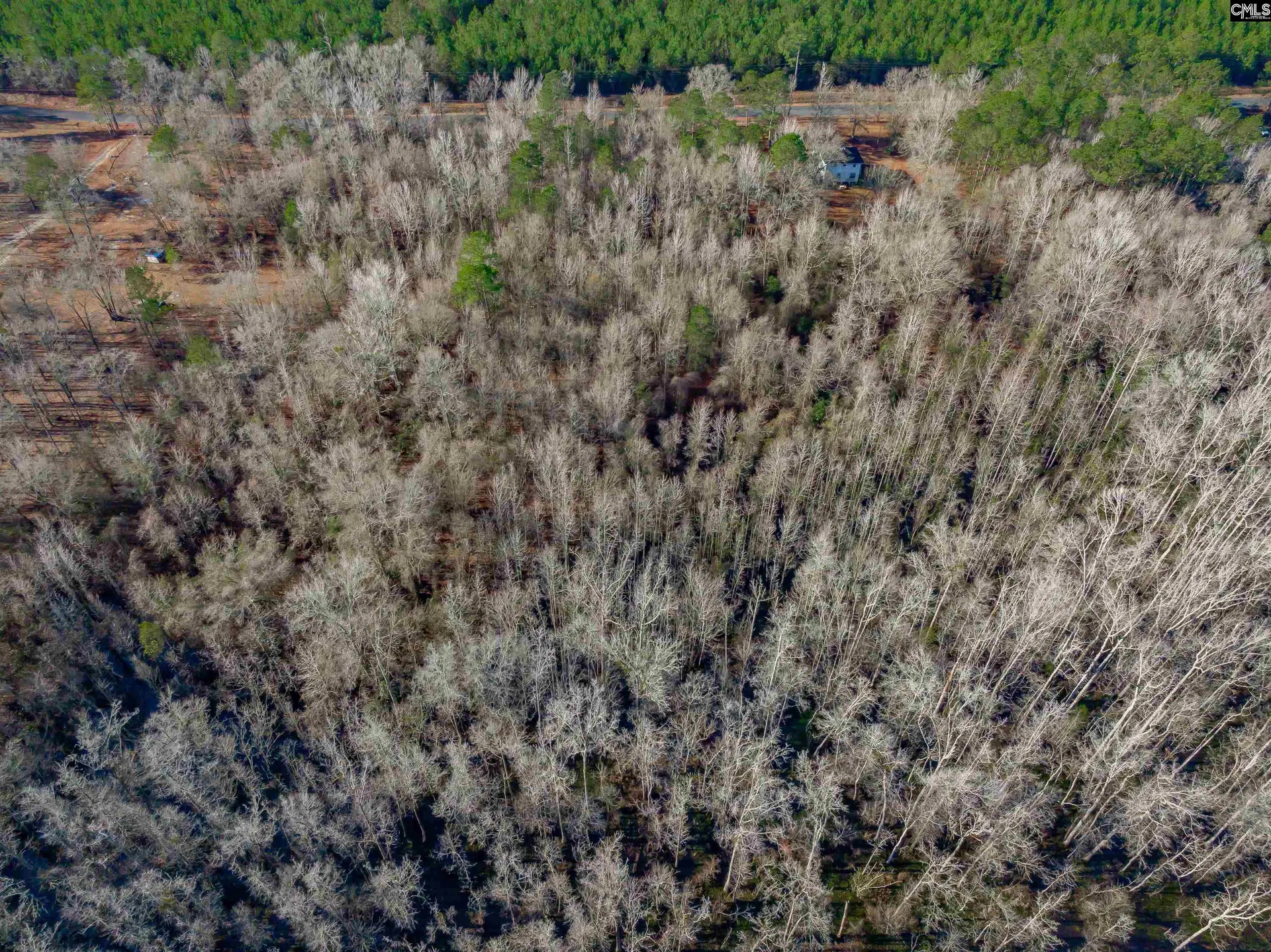 Property image 4 at 1641 Joe Collins Rd, Eastover, SC 29044