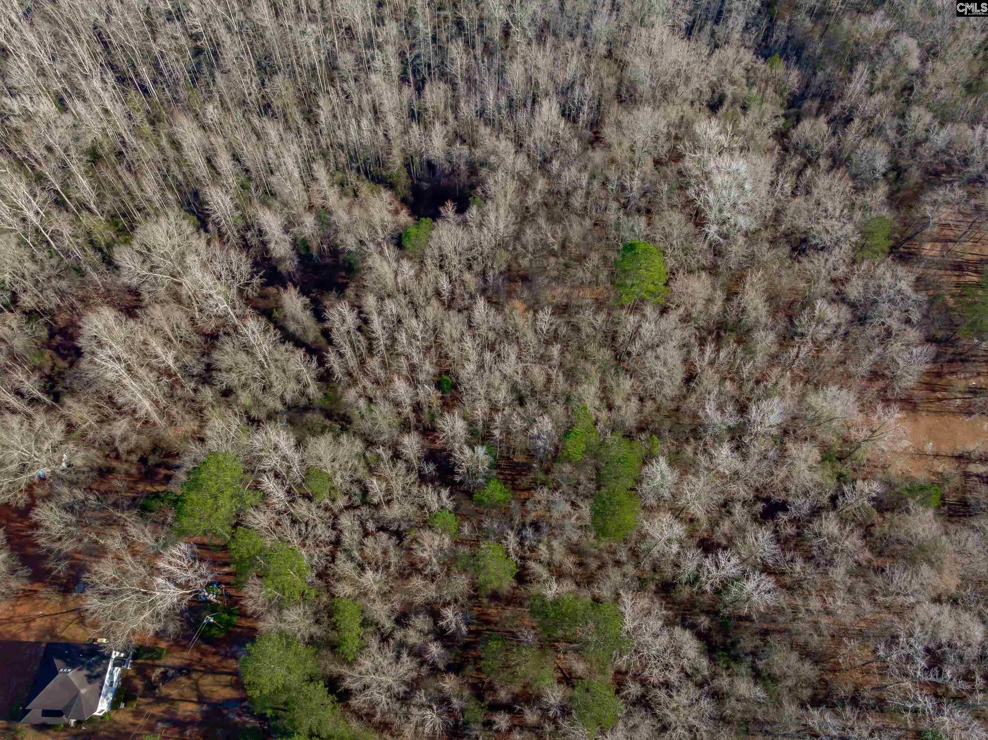 Property image 5 at 1641 Joe Collins Rd, Eastover, SC 29044