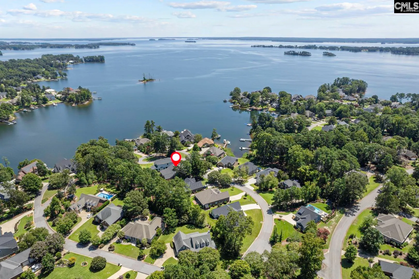 Property image 4 at 115 Pointe Overlook Drive, Chapin, SC 29036