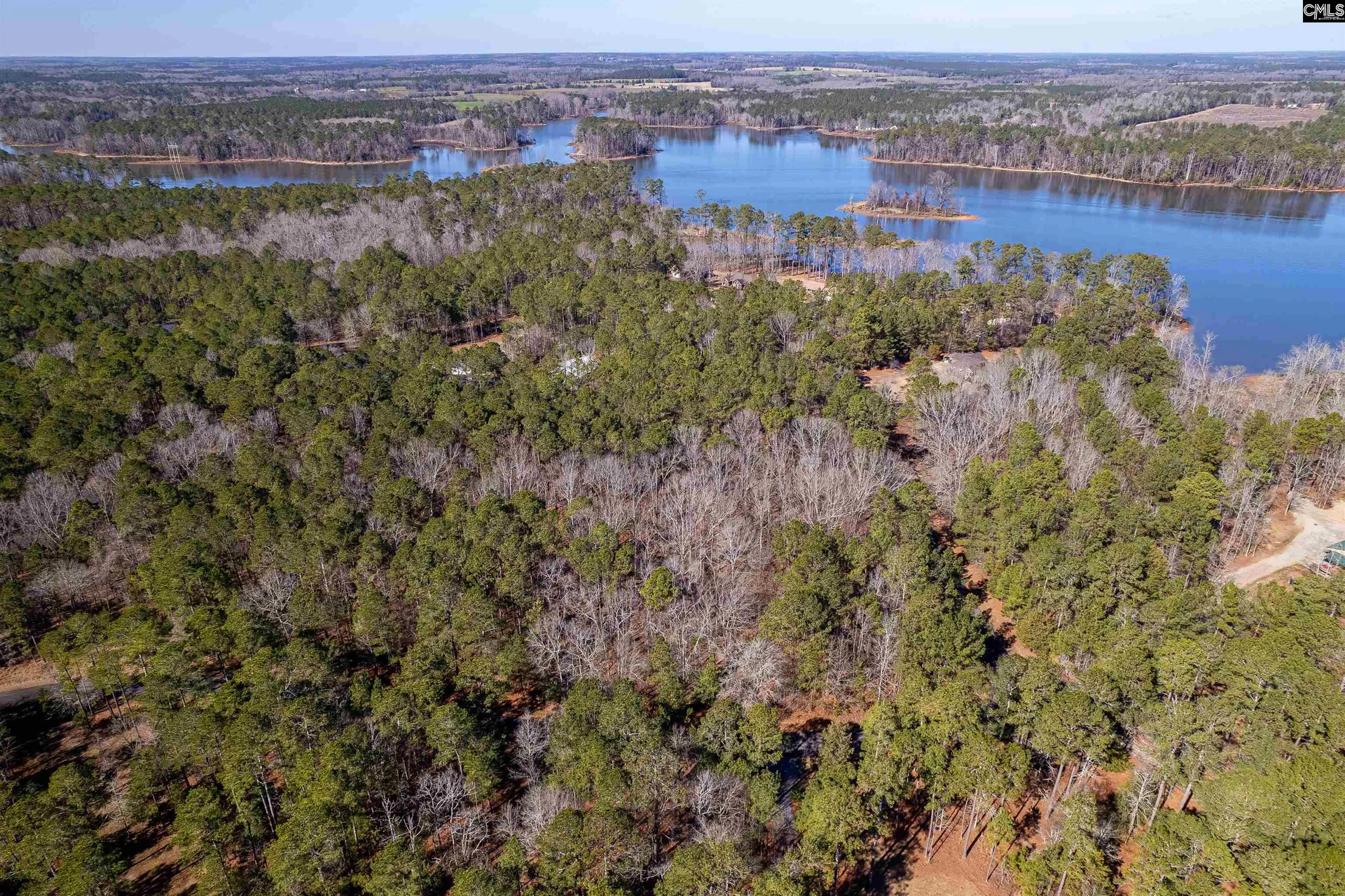 Property image 3 at Little Saluda Lane, Batesburg, SC 29006
