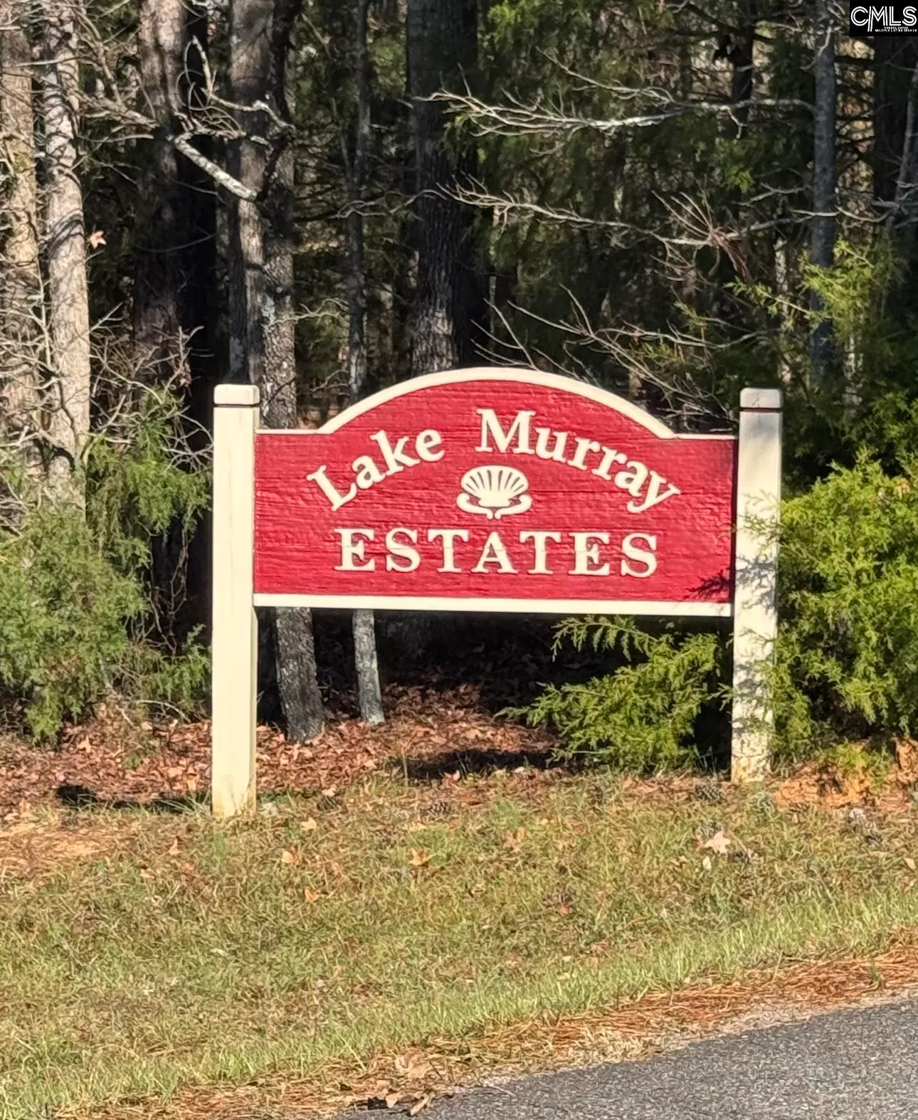 Property image 4 at Little Saluda Lane, Batesburg, SC 29006