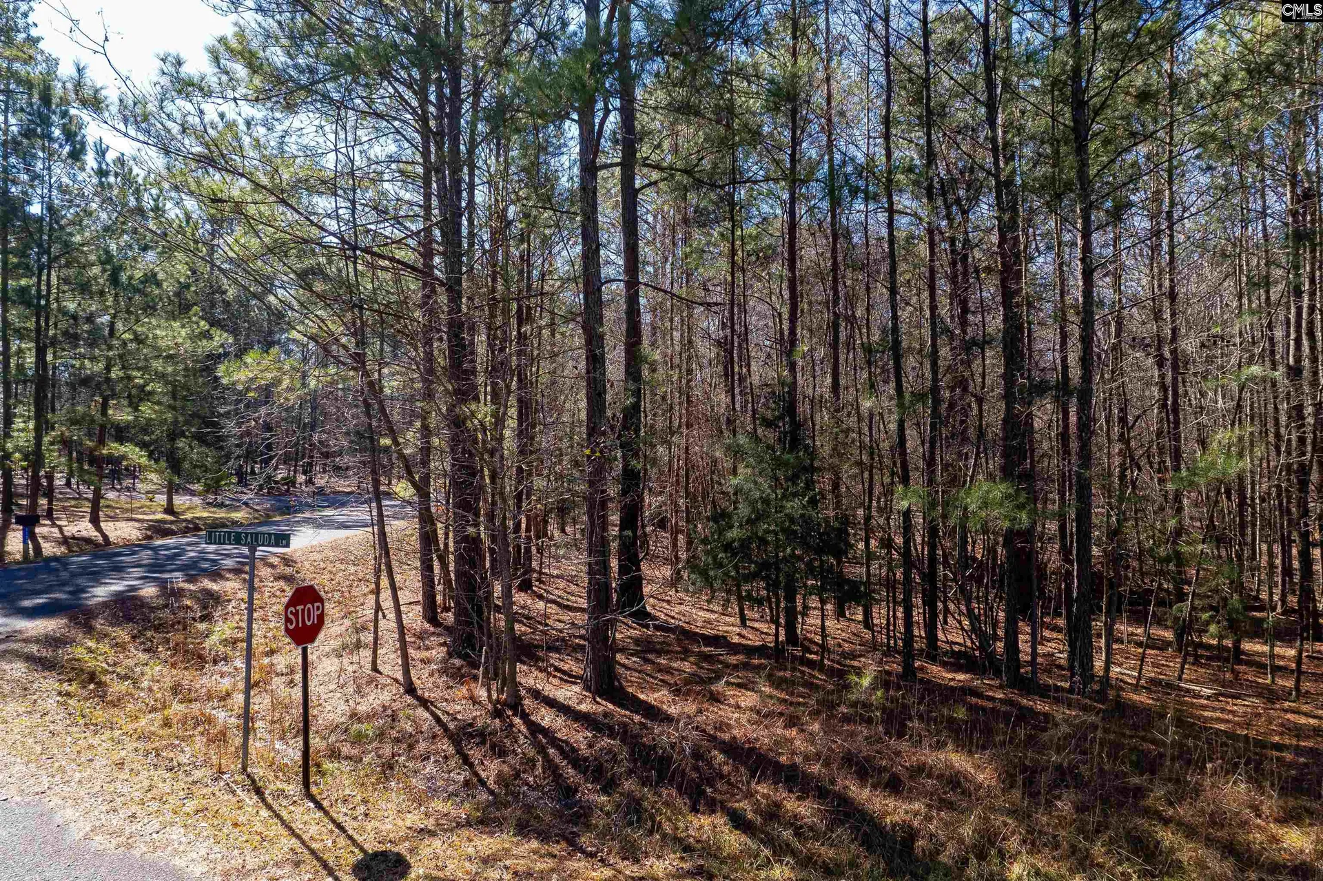 Property image 2 at 1115 Scooter Bridge Road, Batesburg, SC 29006