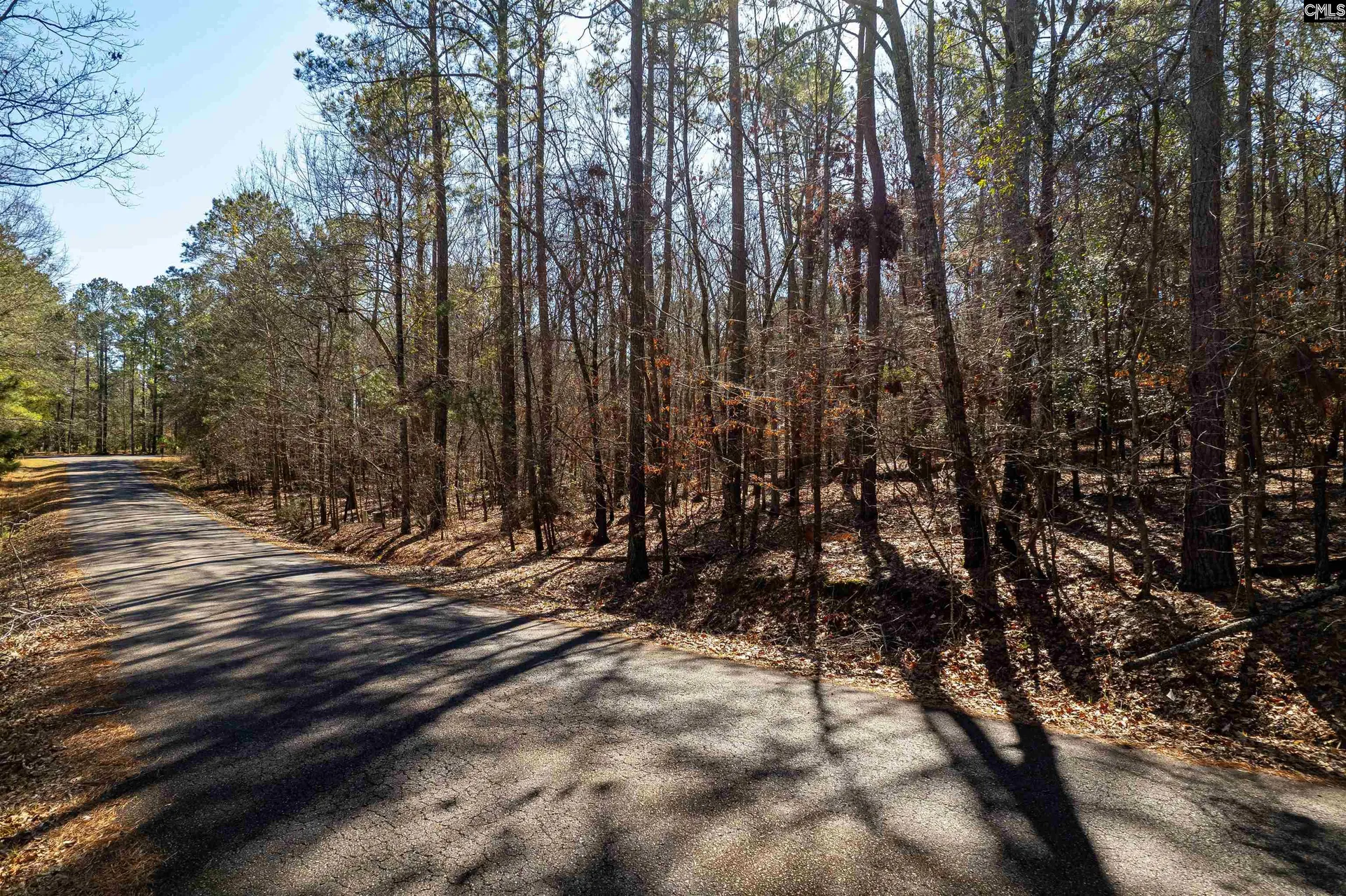 Property image 3 at 1115 Scooter Bridge Road, Batesburg, SC 29006