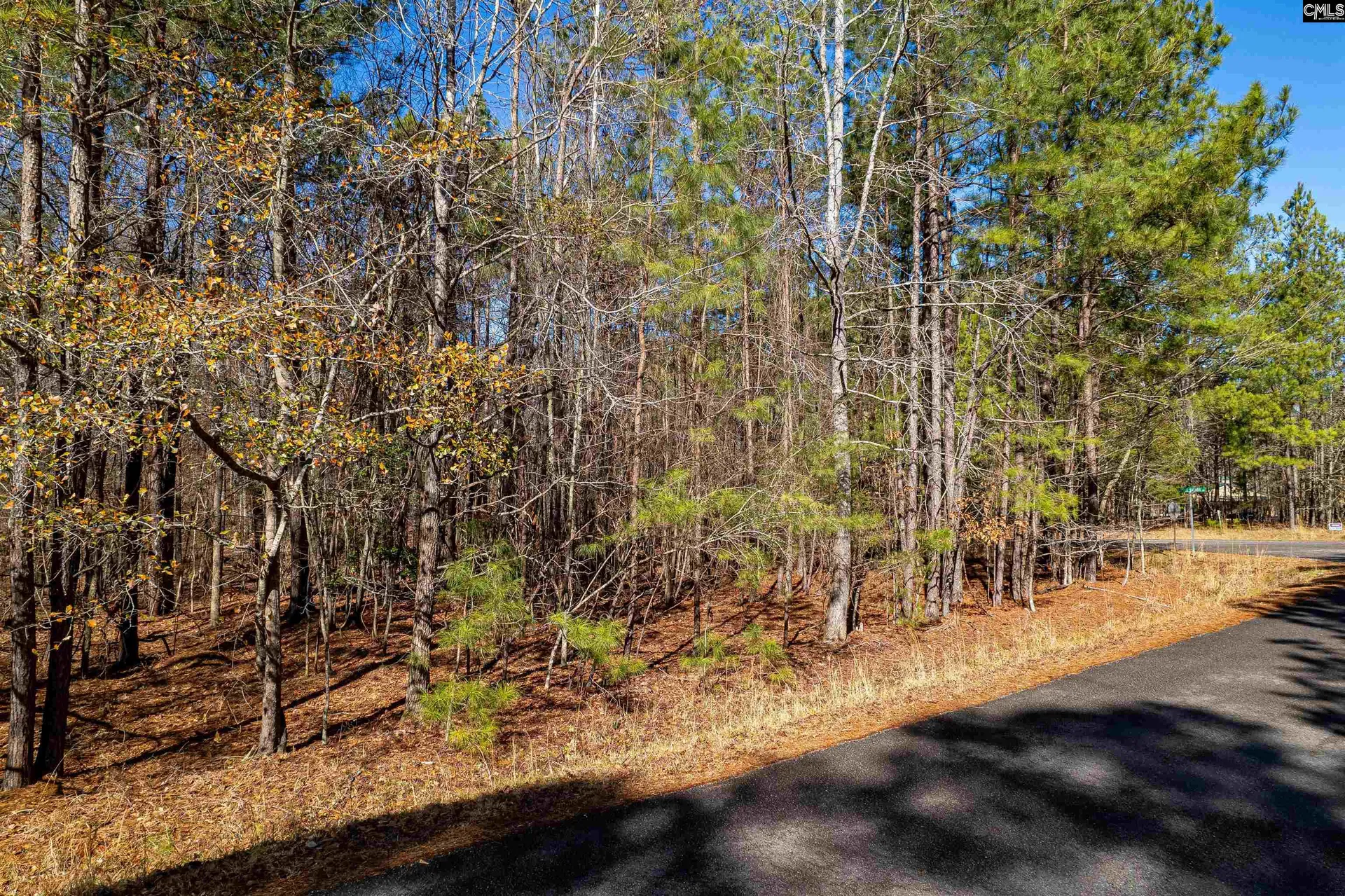 Property image 4 at 1115 Scooter Bridge Road, Batesburg, SC 29006