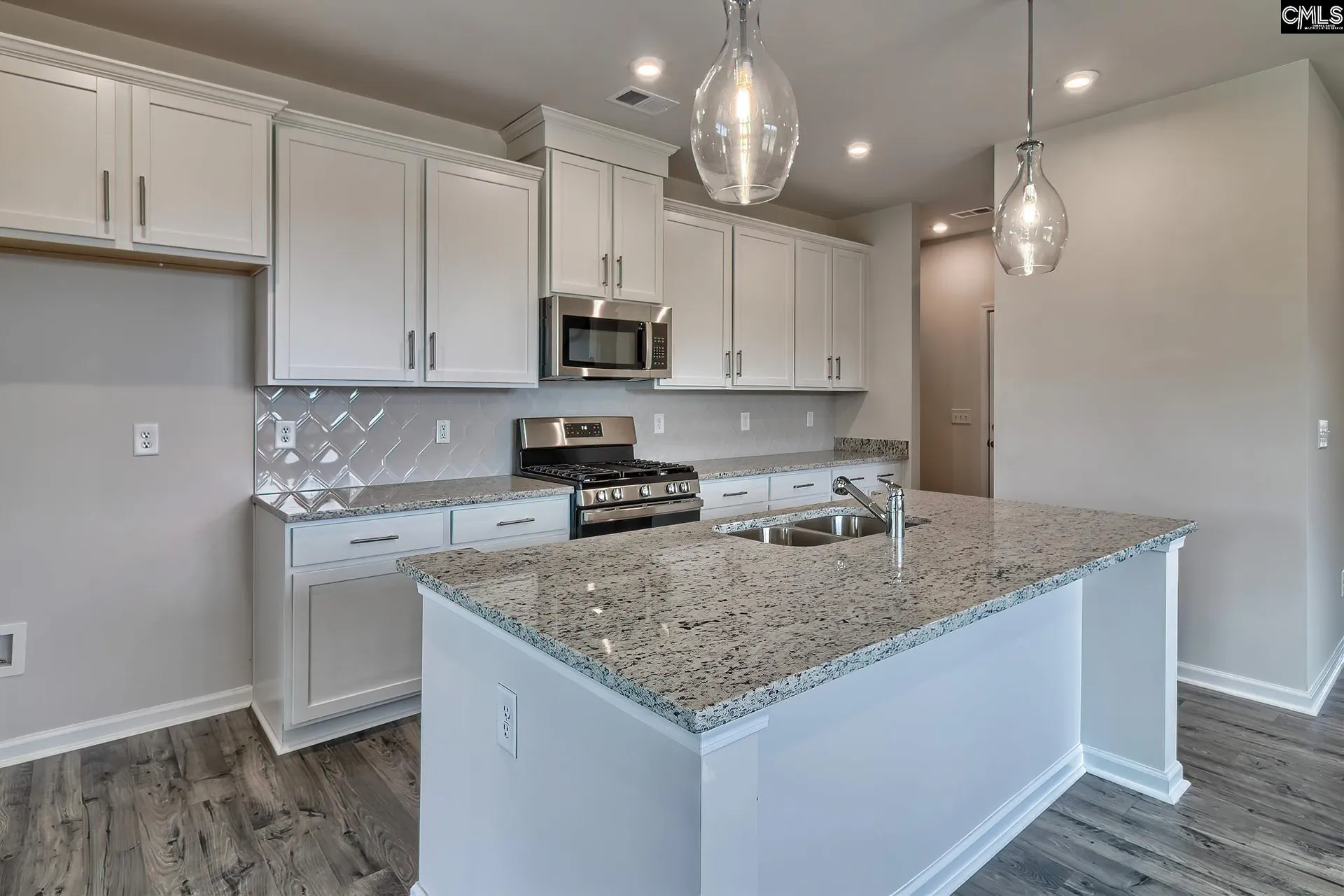Property image 3 at 292 Chapin Place Way, Chapin, SC 29036