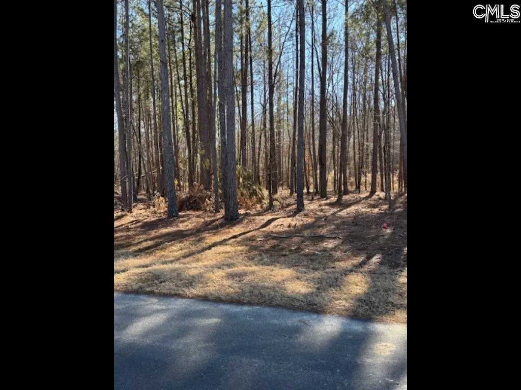 Property image 3 at 396 Stewart Landing Drive, Prosperity, SC 29127