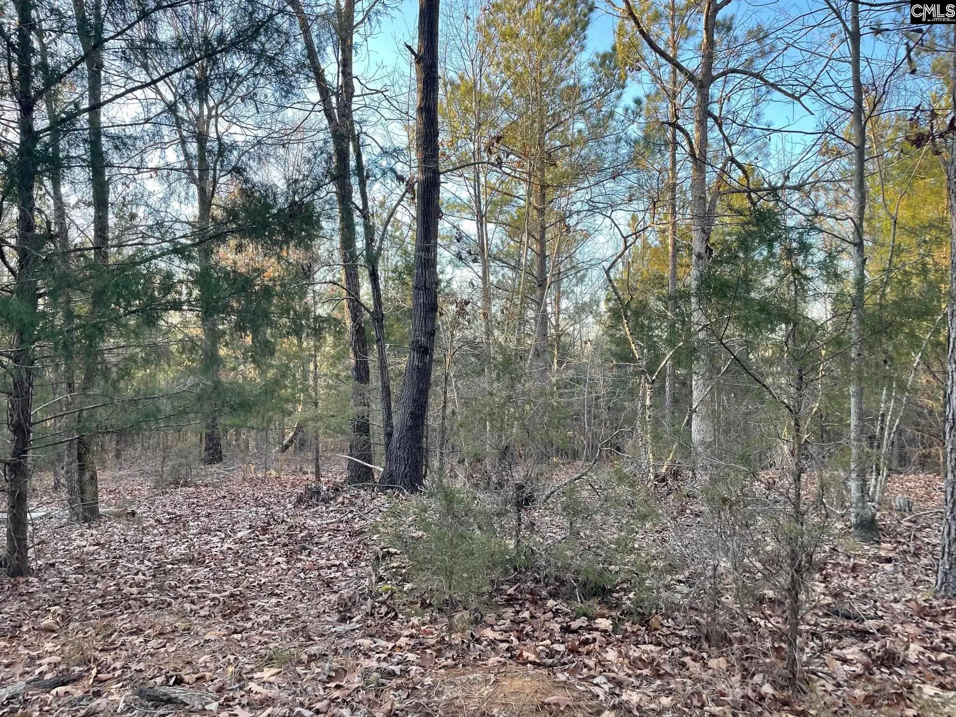 Creek View Acres, Pomaria Community