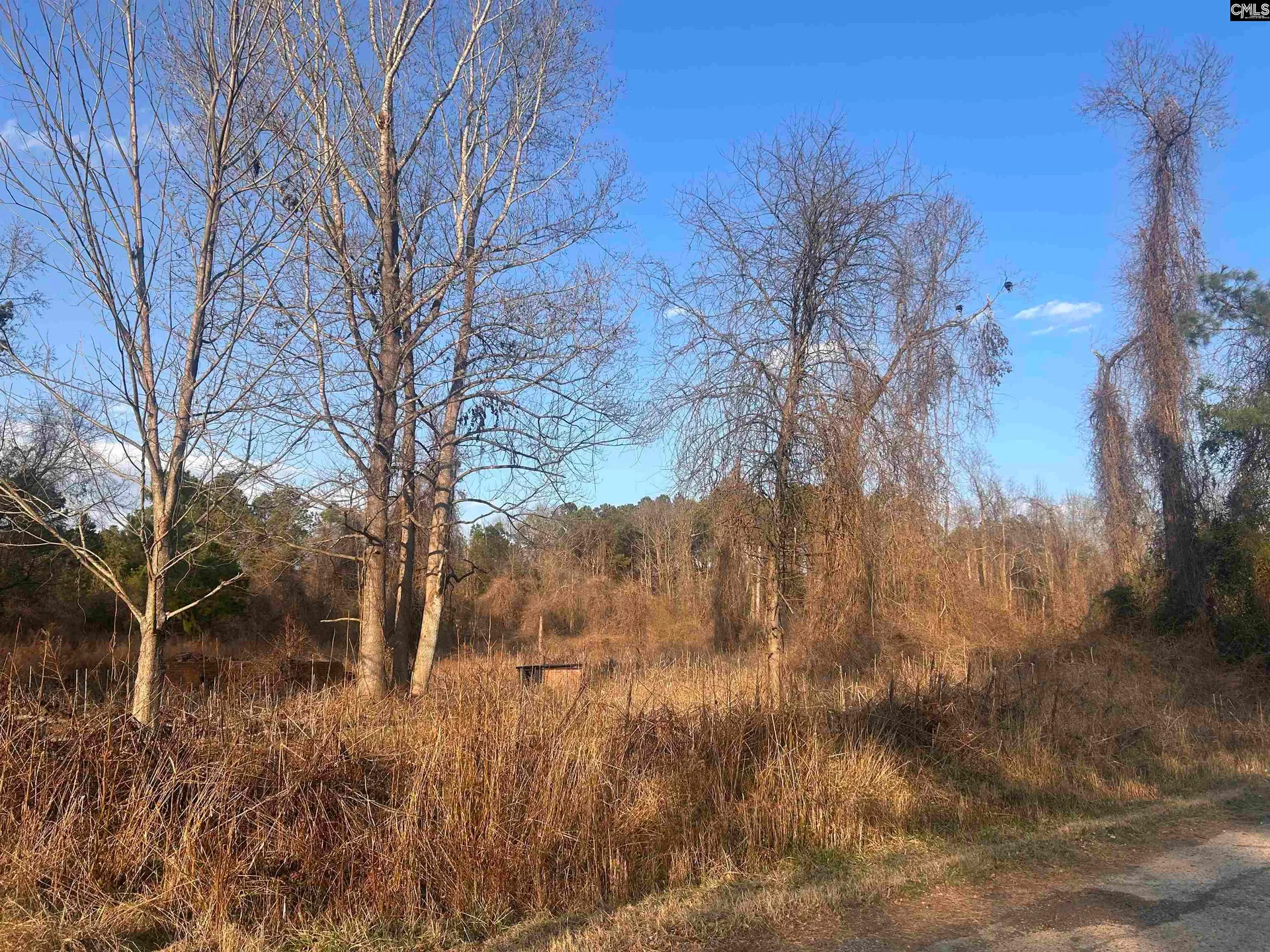 Property image 3 at 210 Ridge Road, Winnsboro, SC 29180-6477