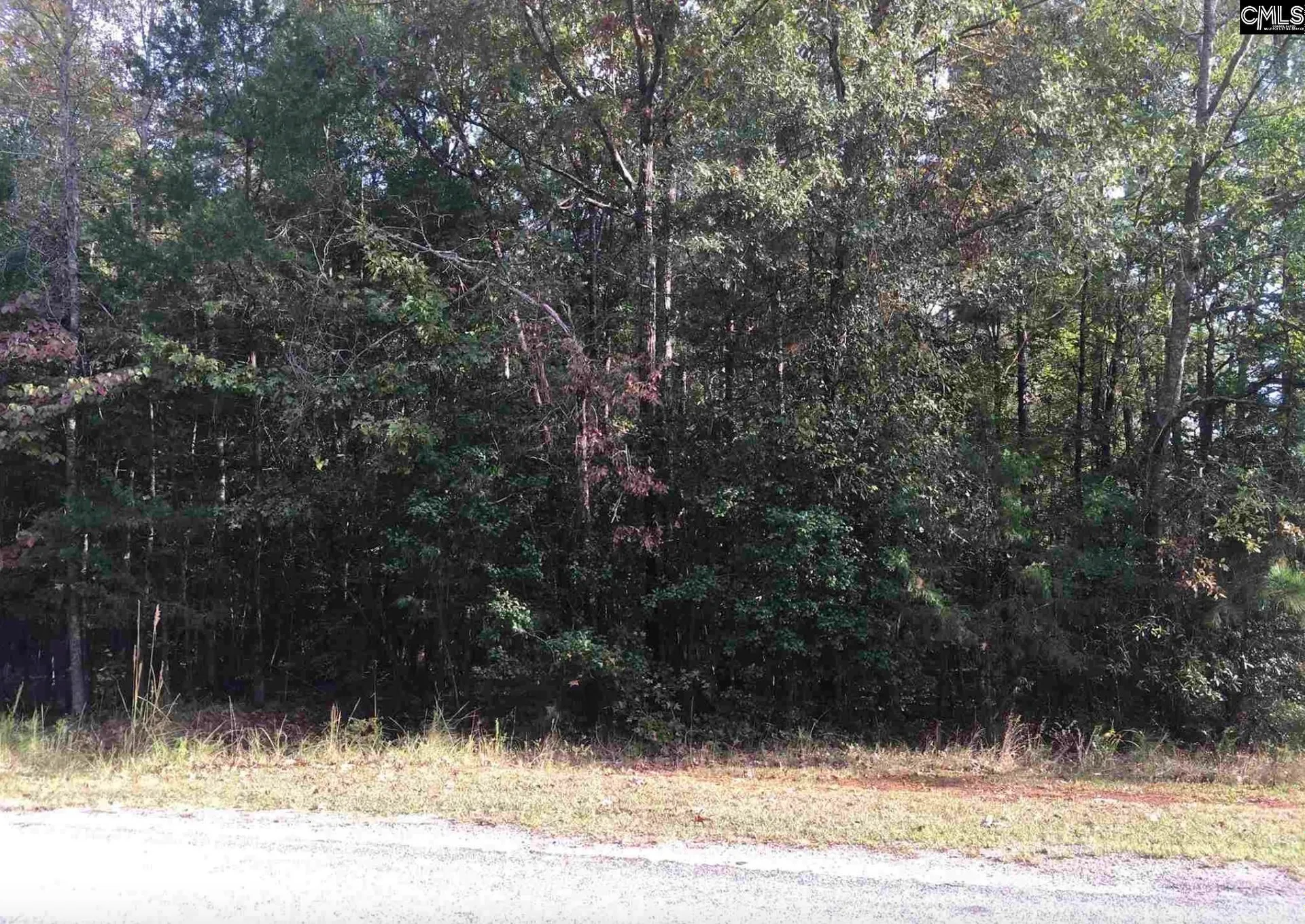 Property image 2 at 0 Harbor View Drive, Prosperity, SC 29127