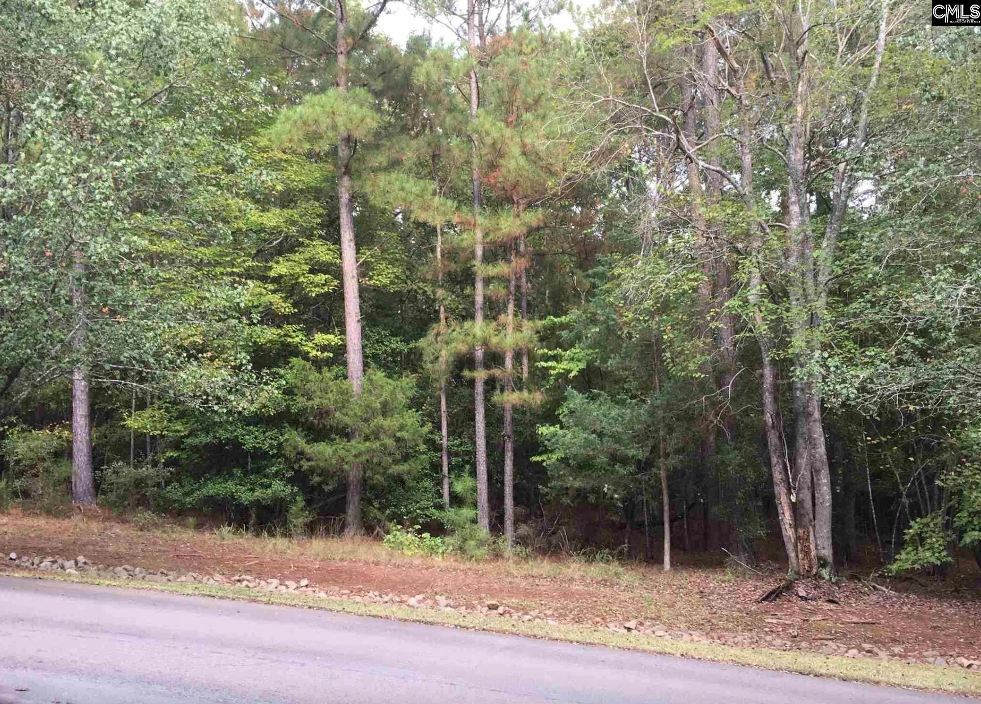 Property image 4 at 0 Harbor View Drive, Prosperity, SC 29127