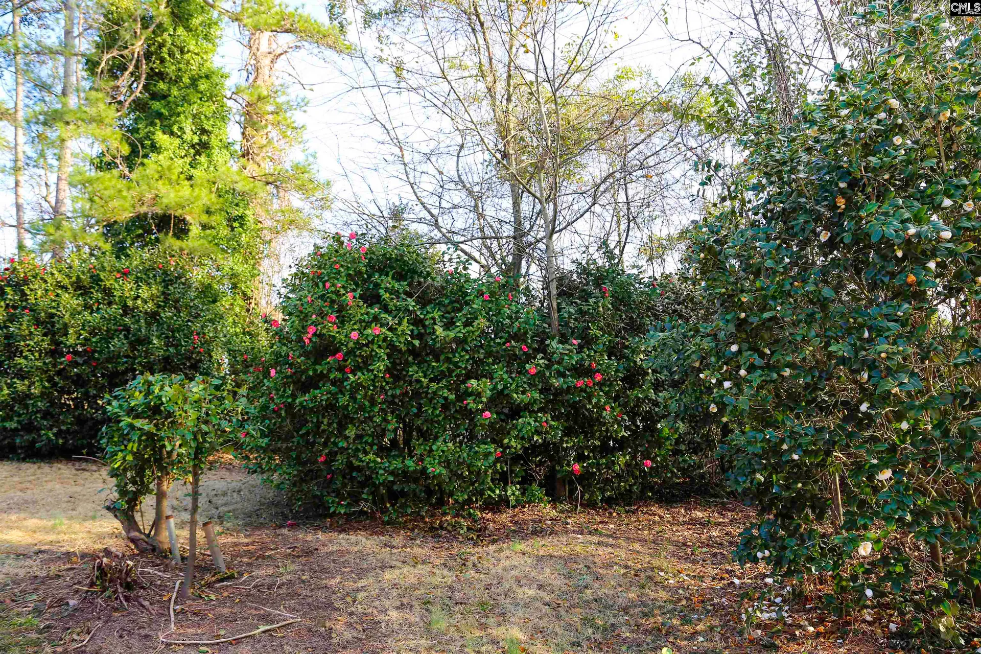 Property image 5 at 960 Curtis Street, Columbia, SC 29210