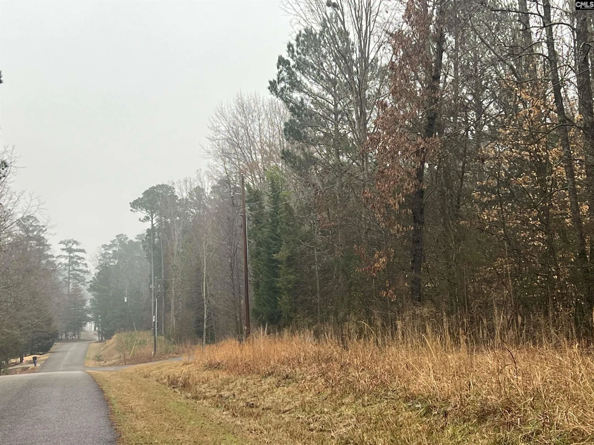 Property image 2 at Murray Point, Batesburg, SC 29006