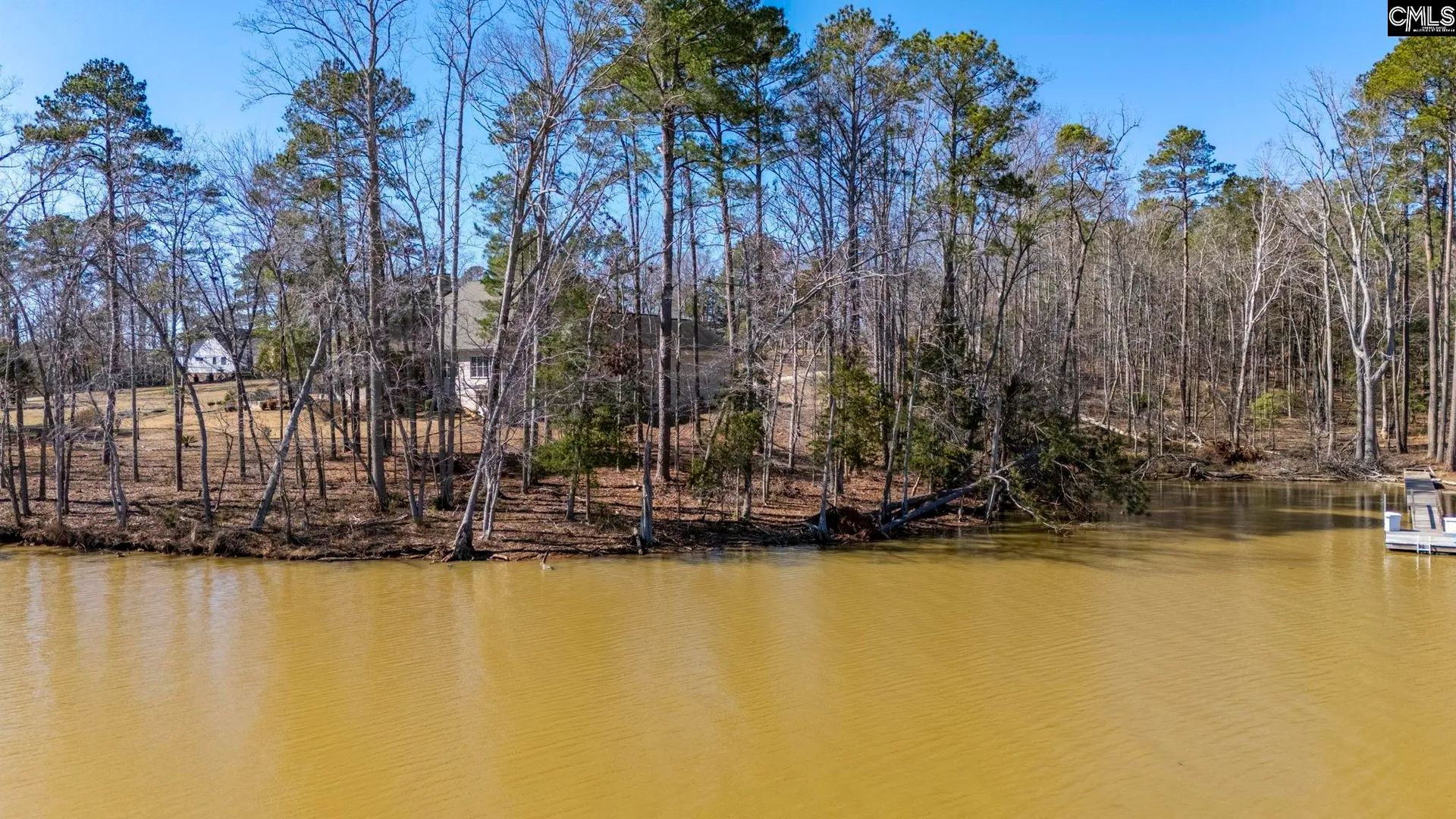 Property image 4 at Lookout Point, Prosperity, SC 29127
