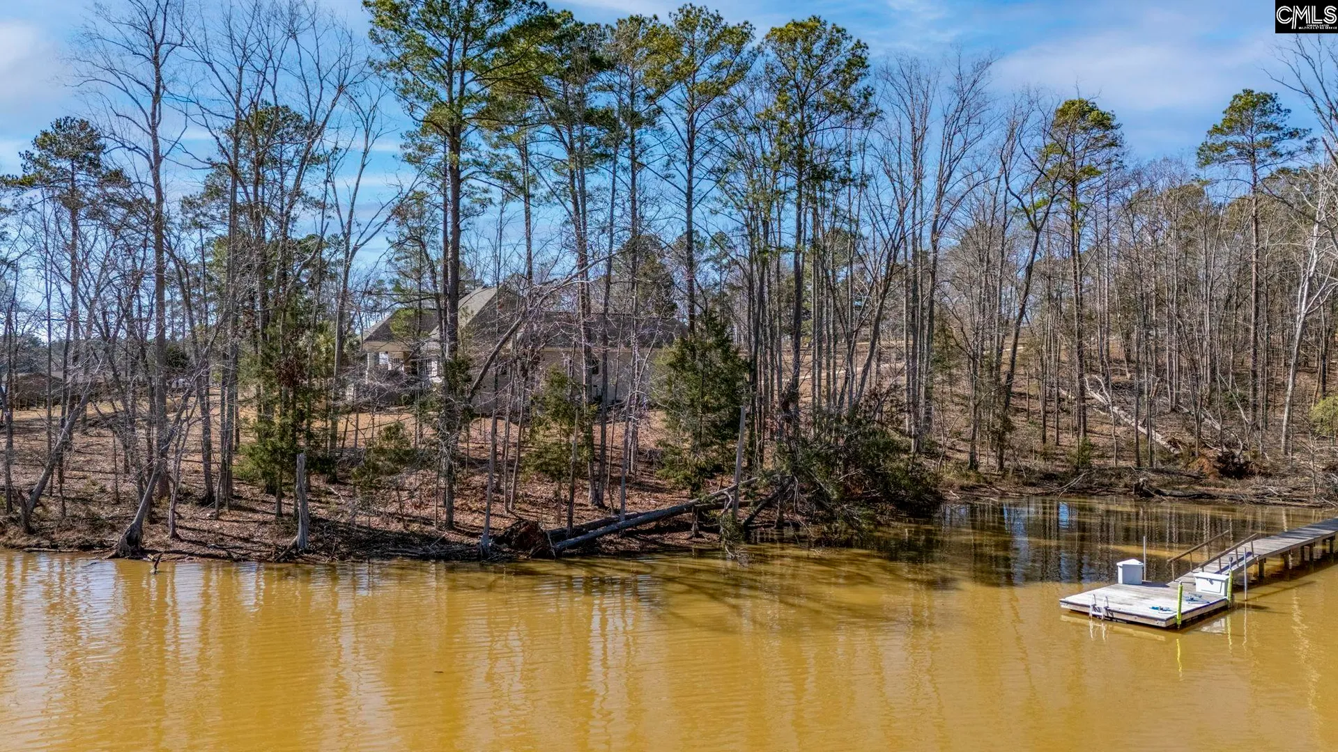 Property image 5 at Lookout Point, Prosperity, SC 29127