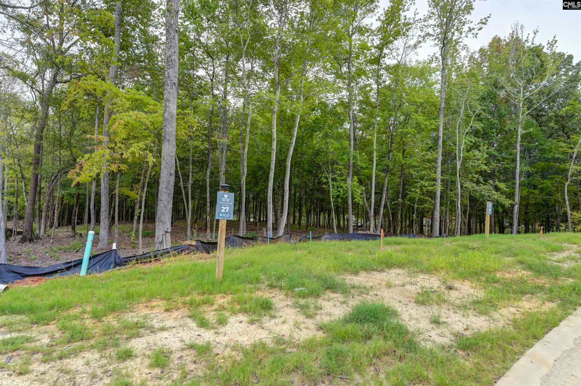 Property image 4 at 1064 Refuge Place, Chapin, SC 29036