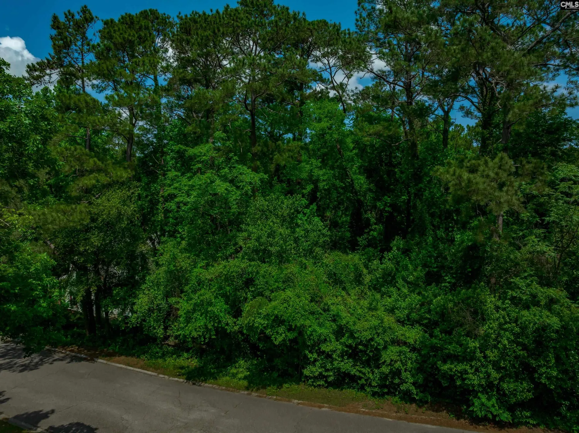 Property image 4 at 6515 Whiteoak Road, Columbia, SC 29206