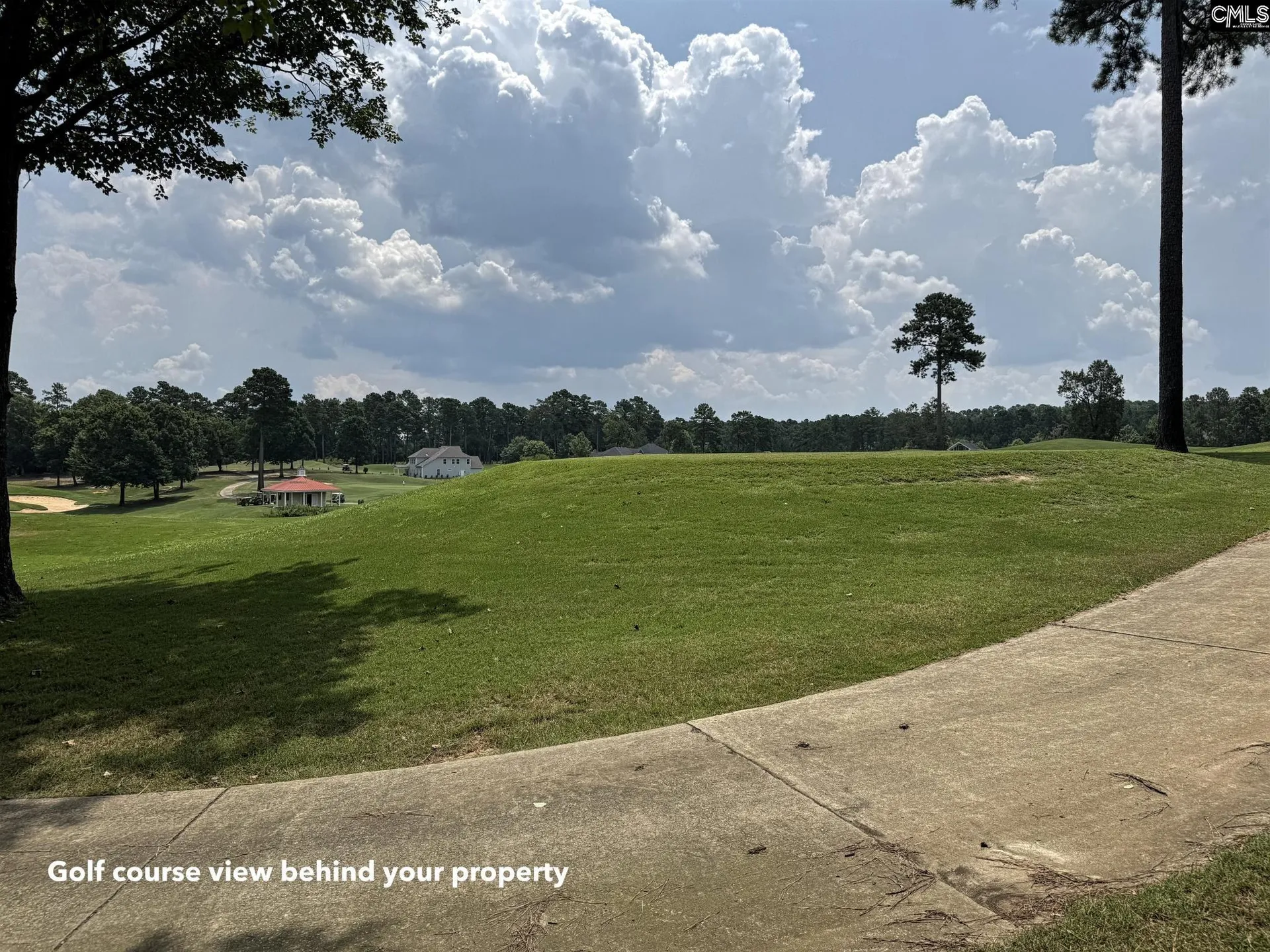 Property image 2 at 1240 Coogler Crossing Drive, Blythewood, SC 29016