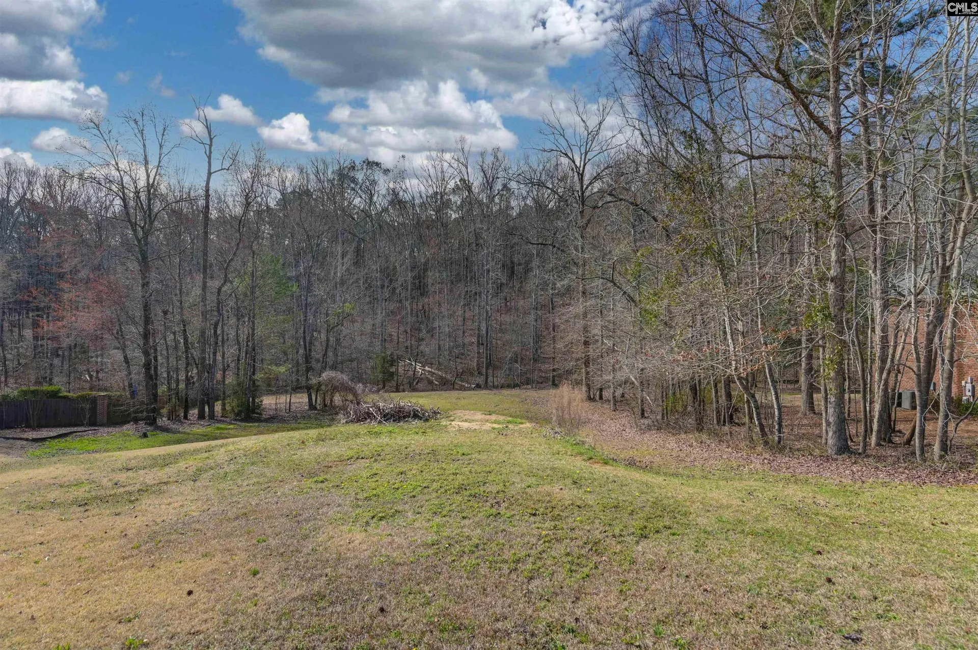 Property image 2 at 228 Winding Oak Way, Blythewood, SC 29016