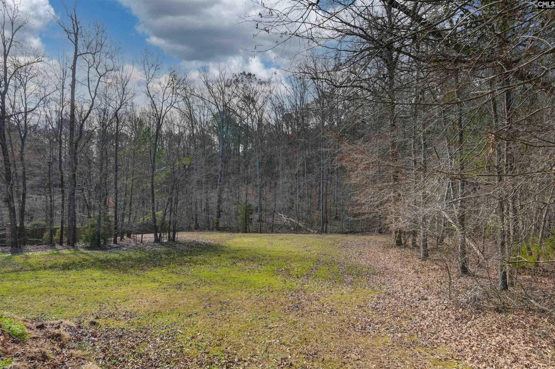 Property image 3 at 228 Winding Oak Way, Blythewood, SC 29016