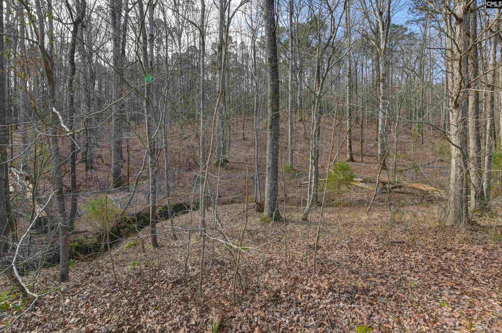 Property image 5 at 228 Winding Oak Way, Blythewood, SC 29016