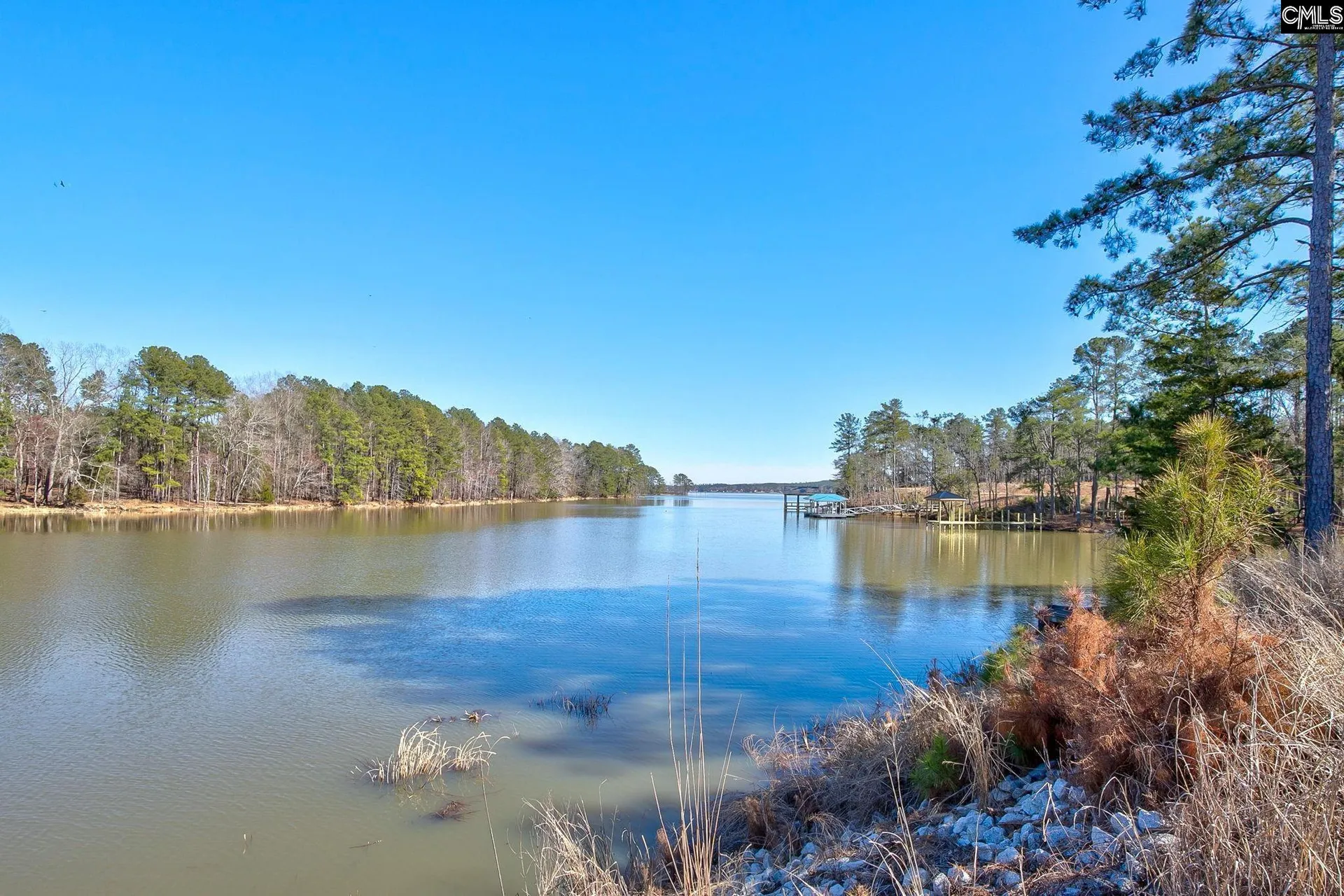 Property image 3 at 785 Retreat Way, Ridgeway, SC 29130-0000