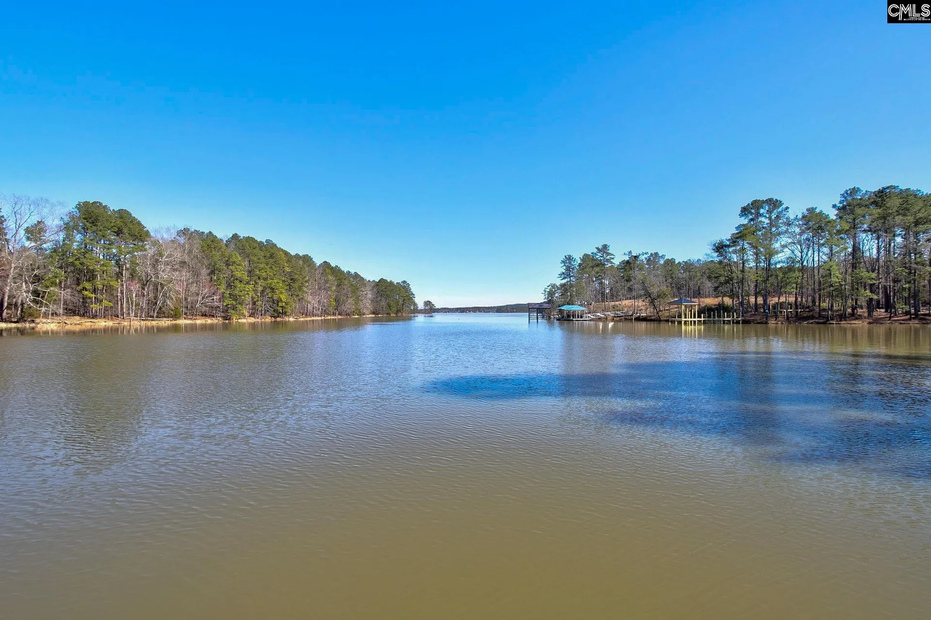 Property image 4 at 785 Retreat Way, Ridgeway, SC 29130-0000