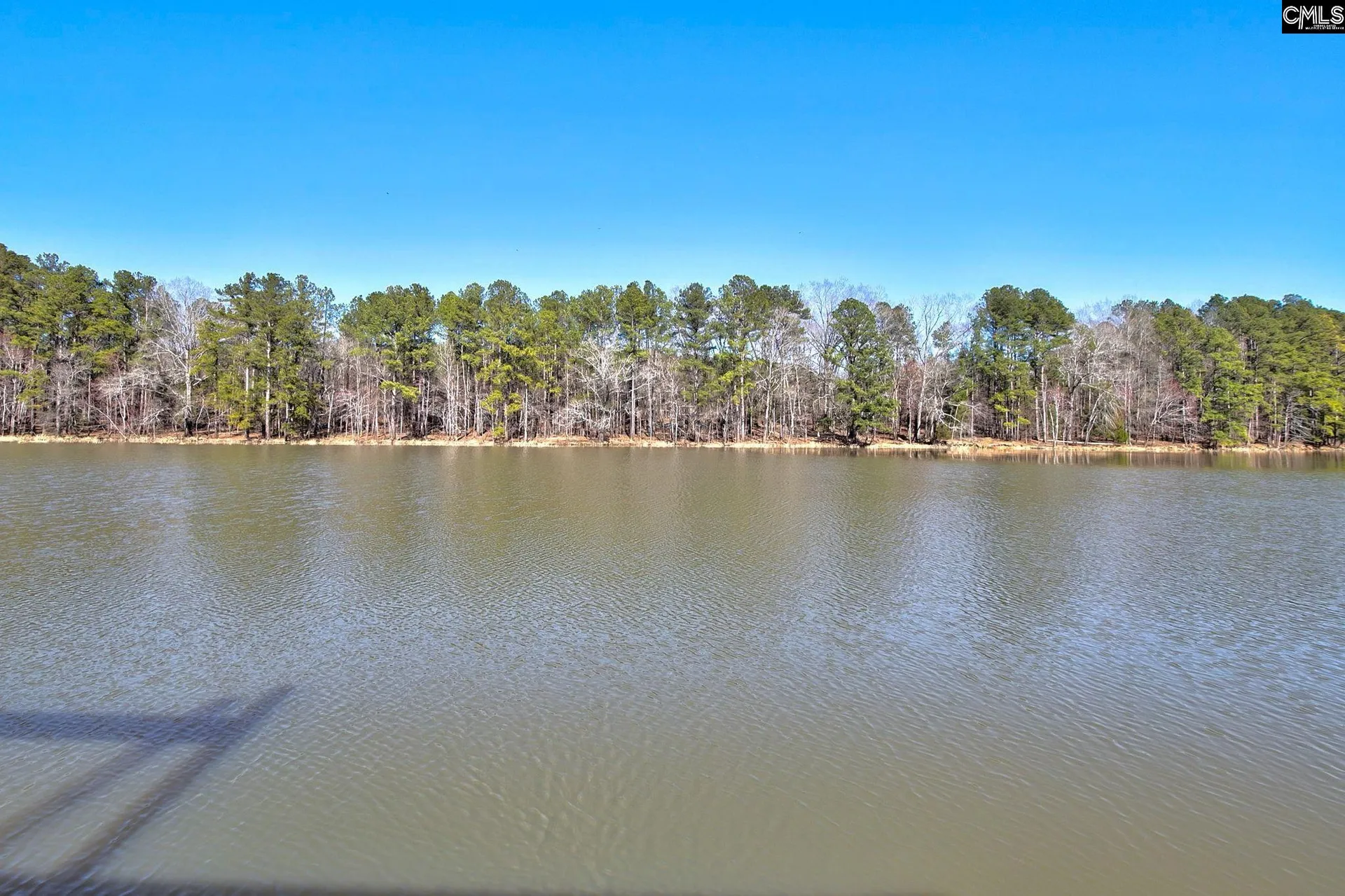 Property image 5 at 785 Retreat Way, Ridgeway, SC 29130-0000