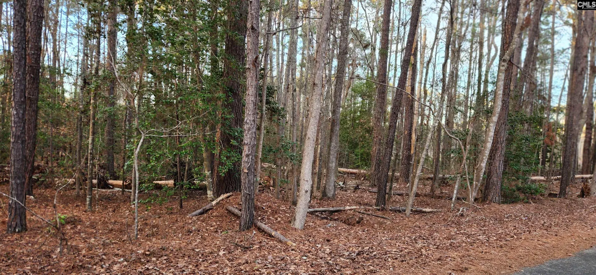 113 Buck Dr