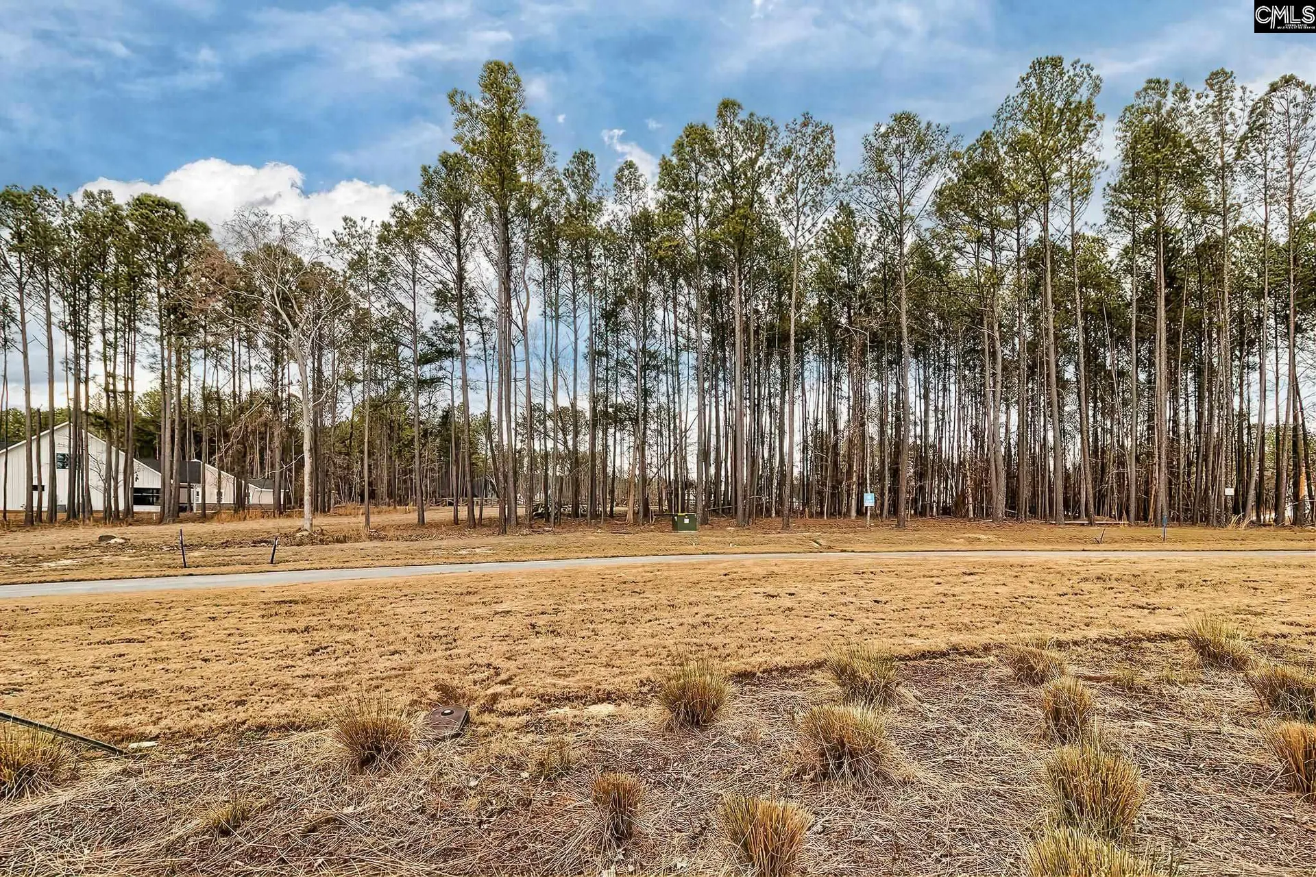 Property image 3 at 349 Stewart Landing, Prosperity, SC 29127