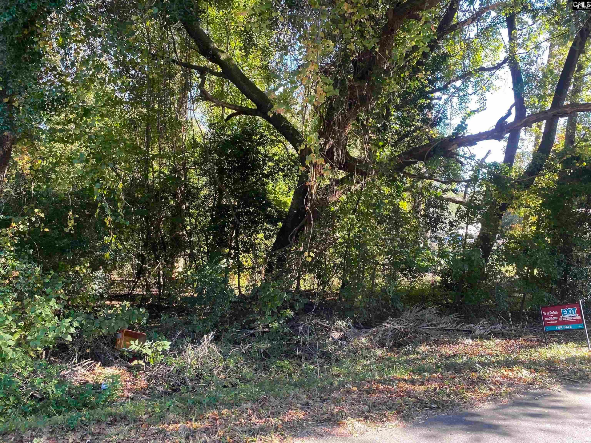 Property image 2 at 228 Oakmont Drive, Orangeburg, SC 29116
