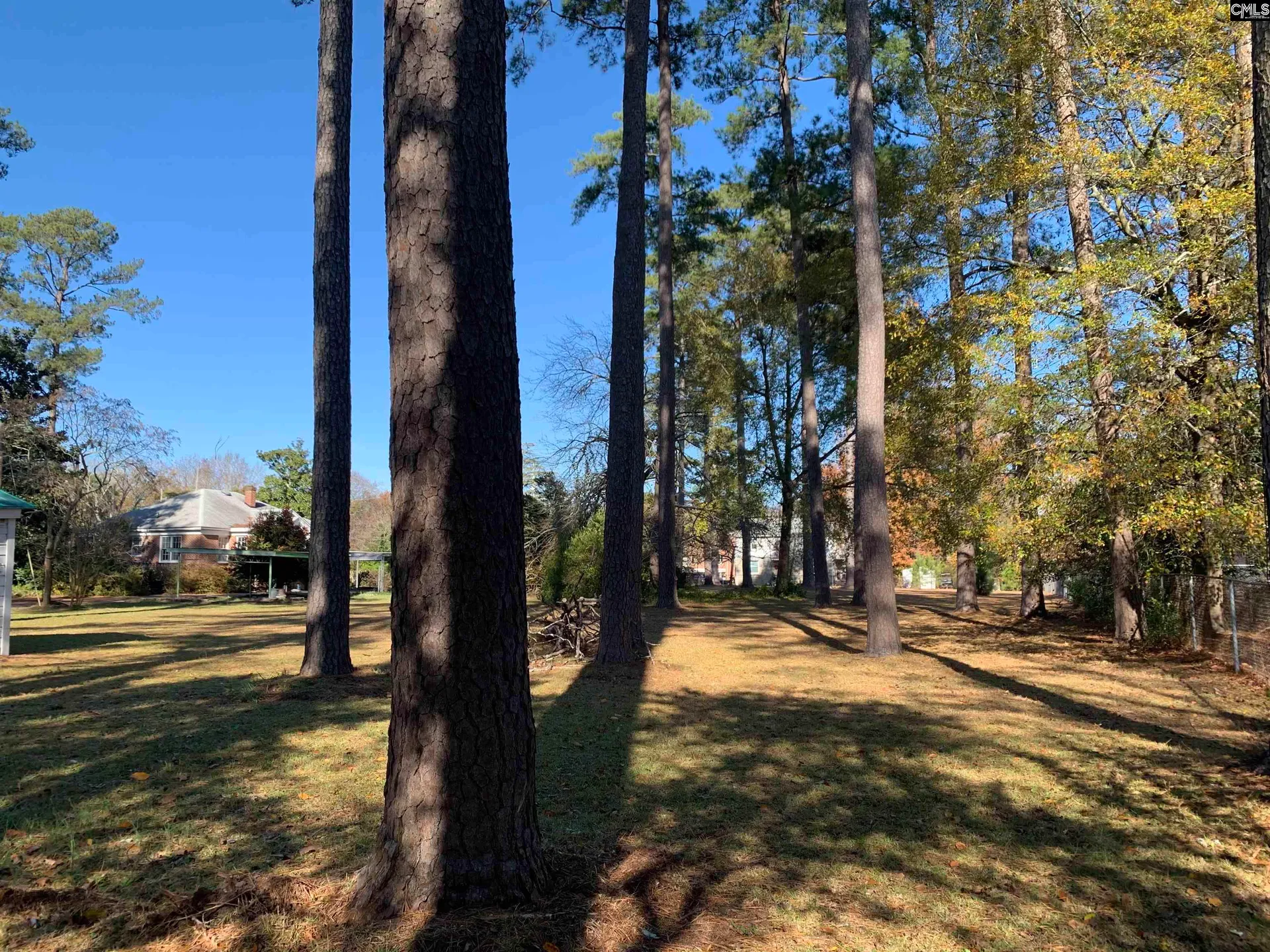 Rosewood, Columbia Community