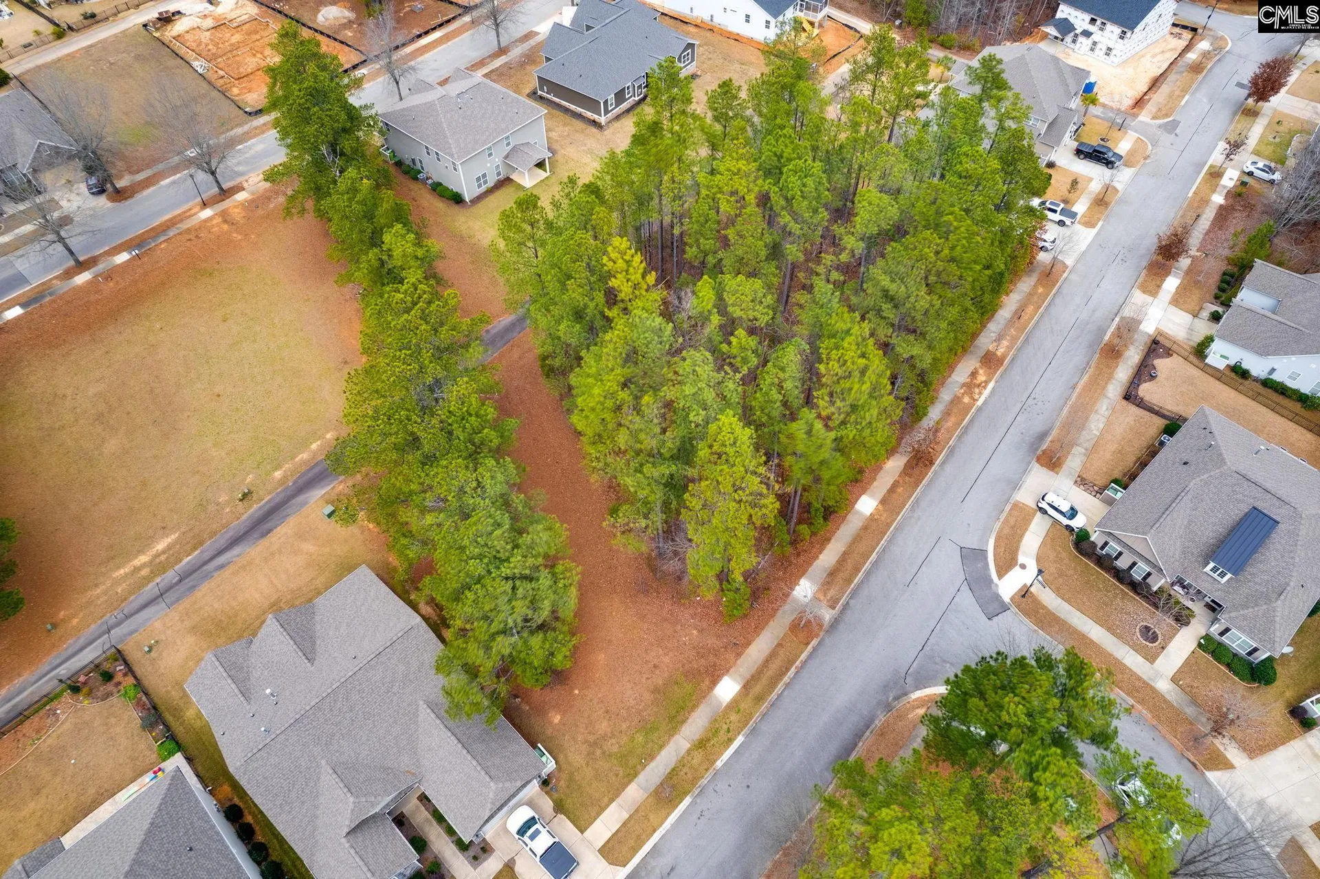 Property image 3 at 113 Playground Road, Blythewood, SC 29016