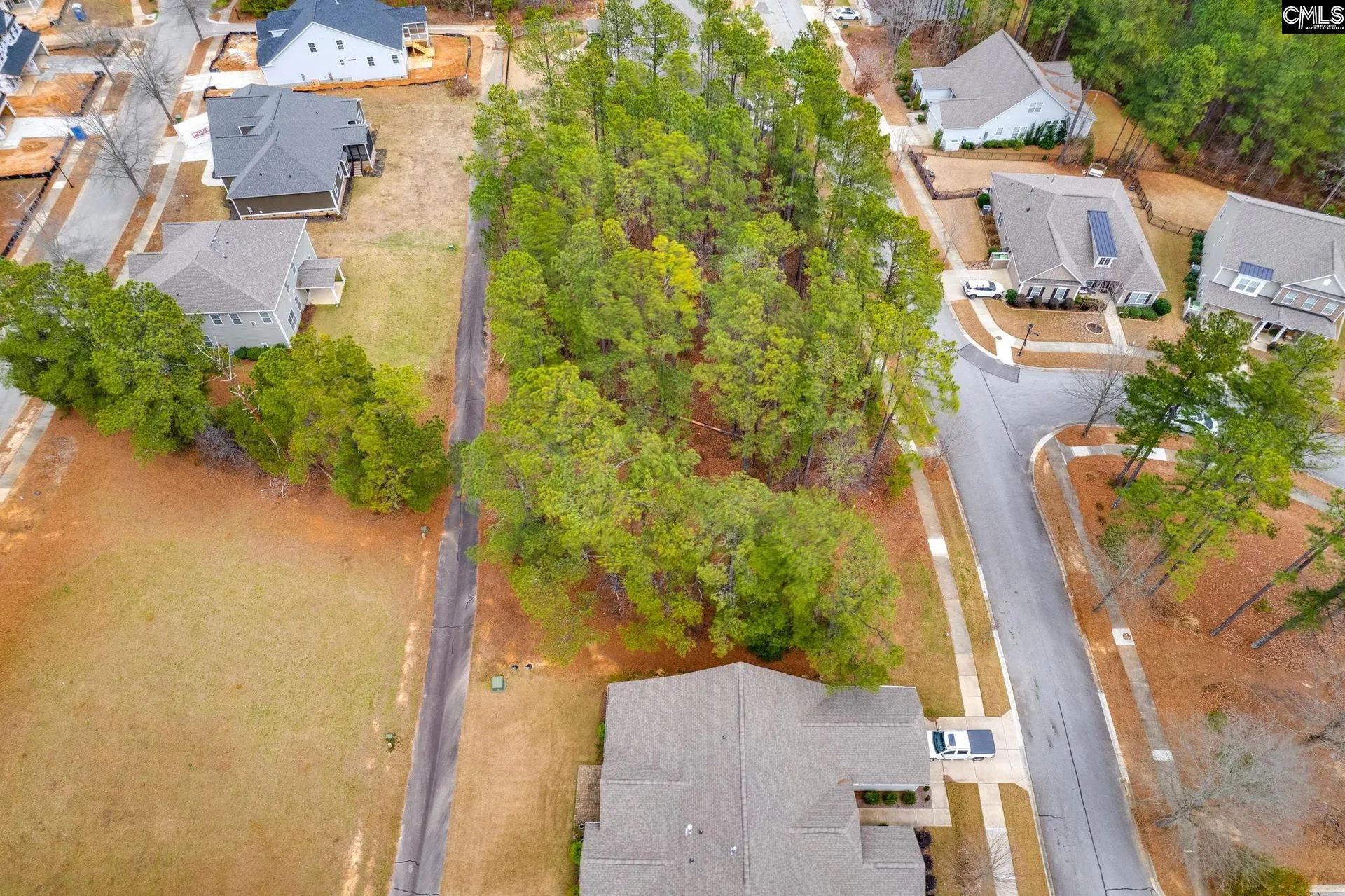 Property image 4 at 113 Playground Road, Blythewood, SC 29016