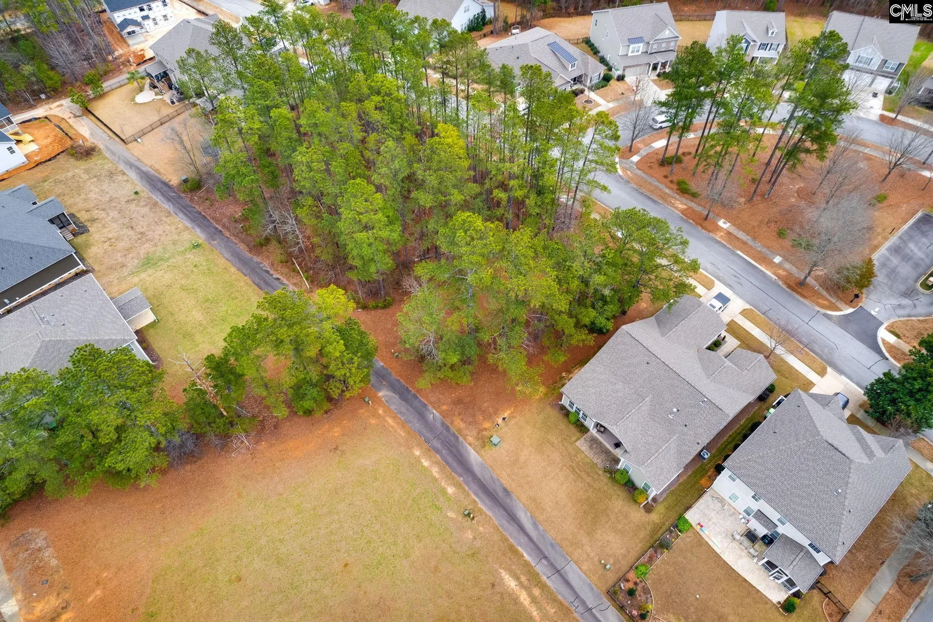 Property image 5 at 113 Playground Road, Blythewood, SC 29016