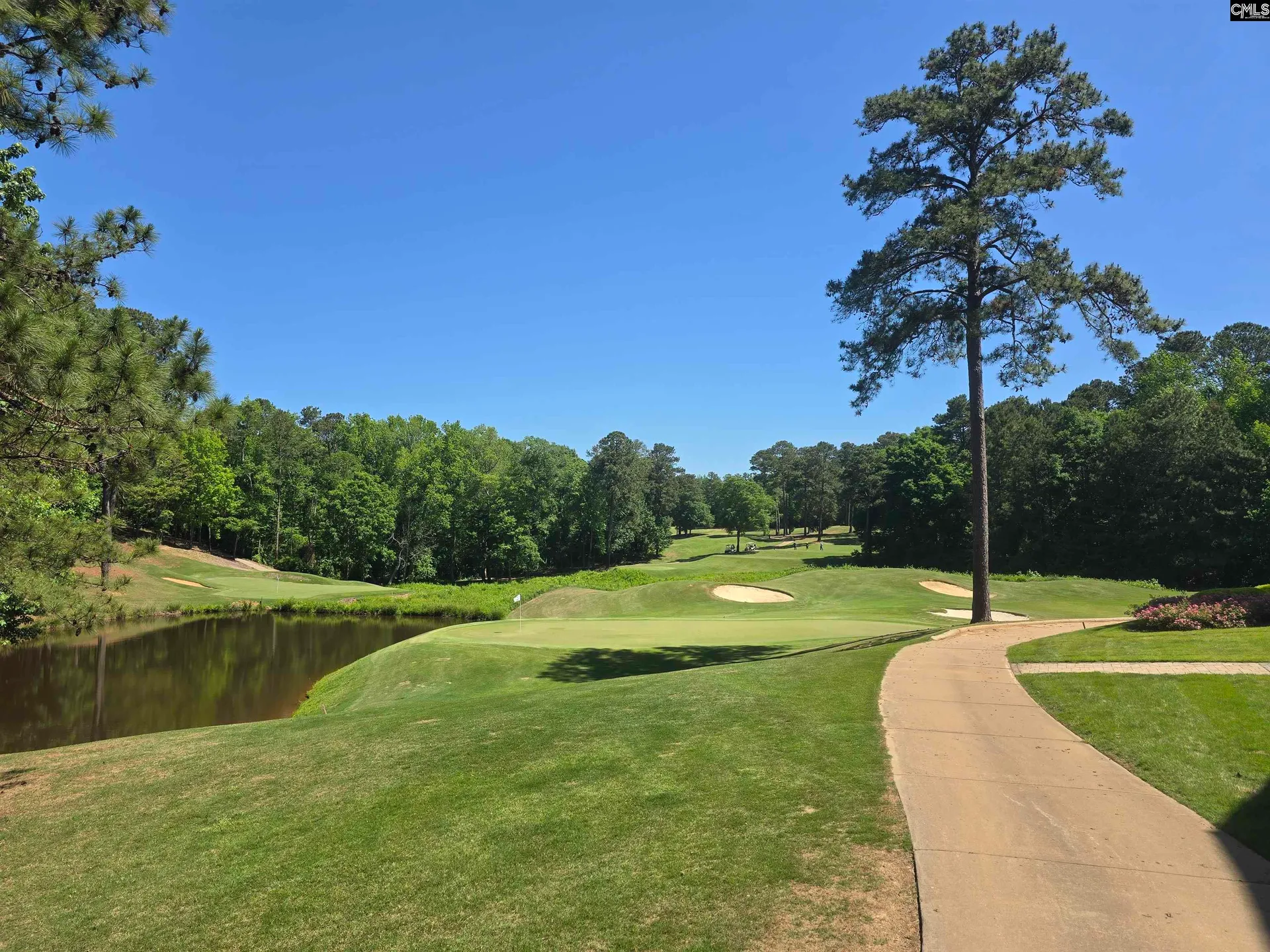 Property image 4 at 726 Carolina Aster Drive, Blythewood, SC 29016