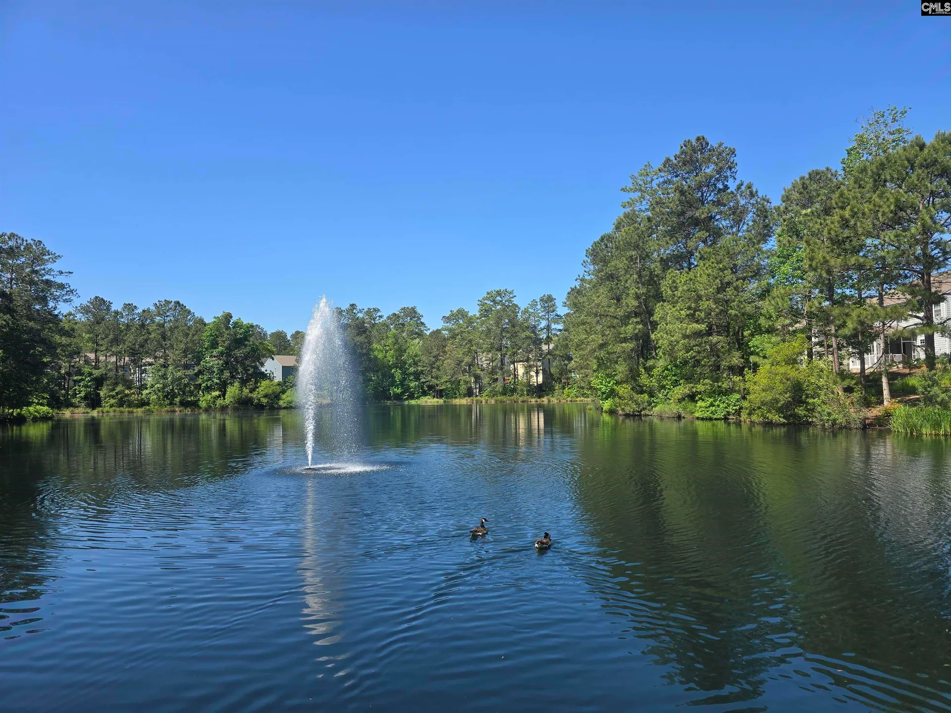 Property image 5 at 726 Carolina Aster Drive, Blythewood, SC 29016